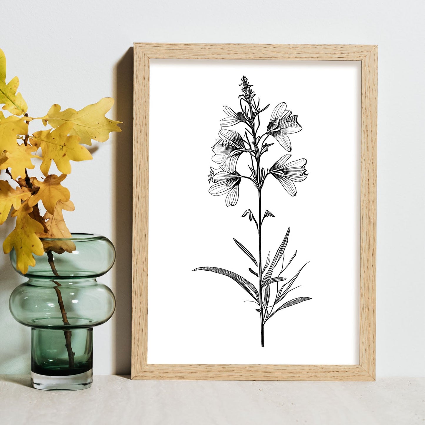 Lámina Minimalista de Flor de Espuela de Nacnic
