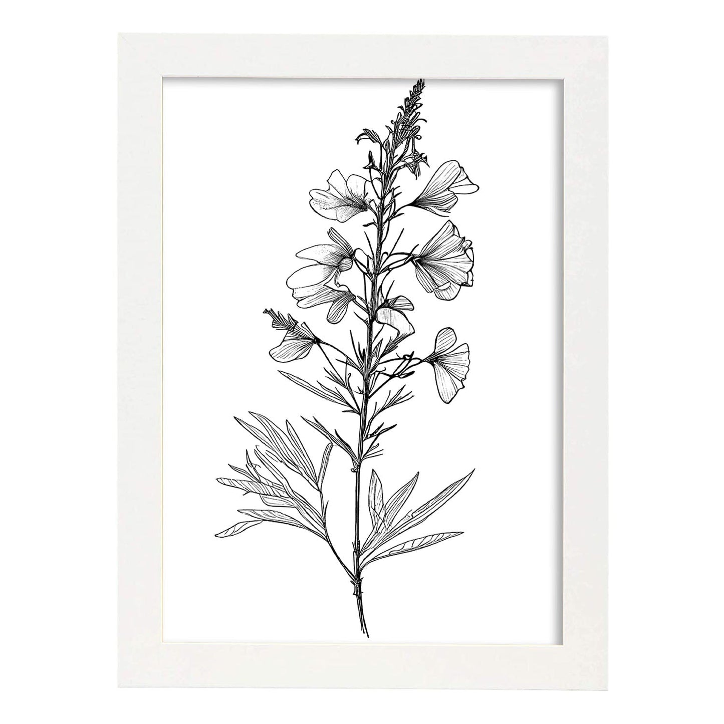 Laminas Nacnic Larkspur Arte Minimalista Lineal