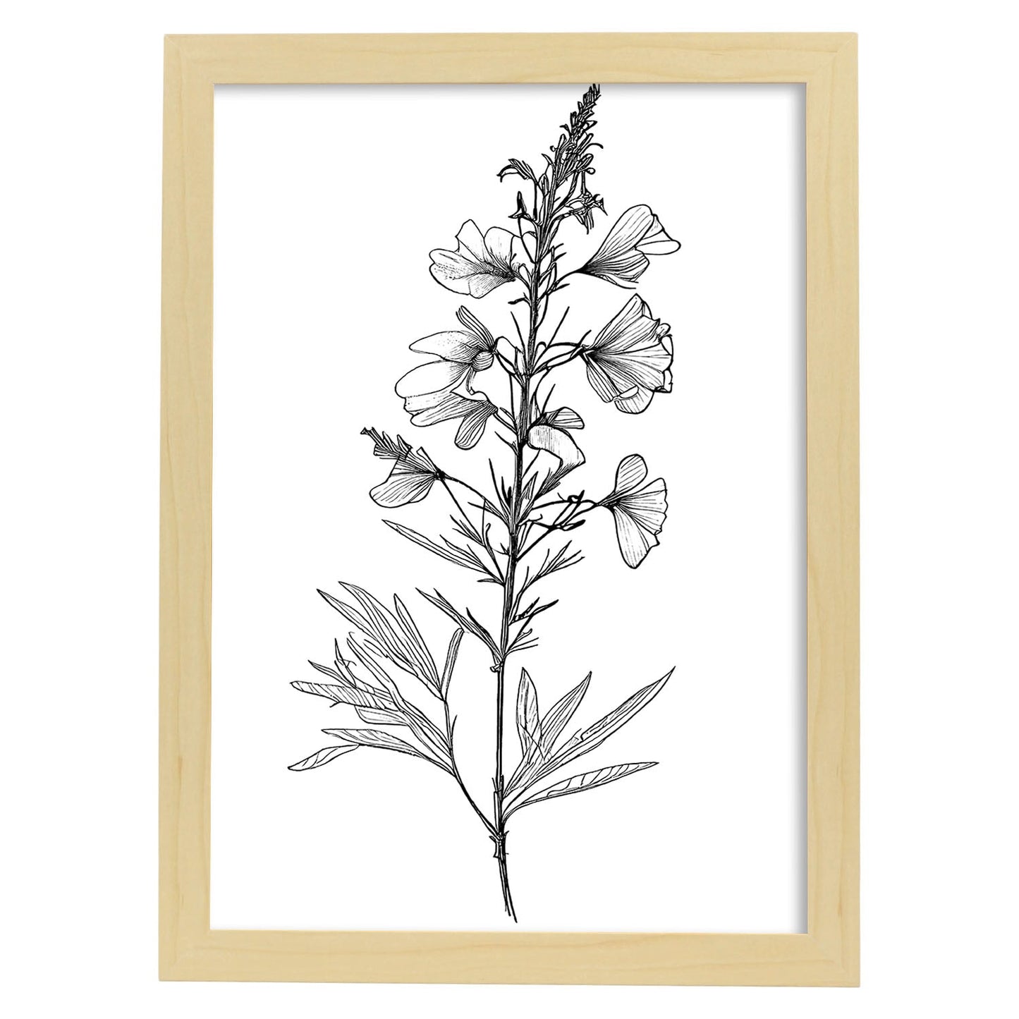 Laminas Nacnic Larkspur Arte Minimalista Lineal