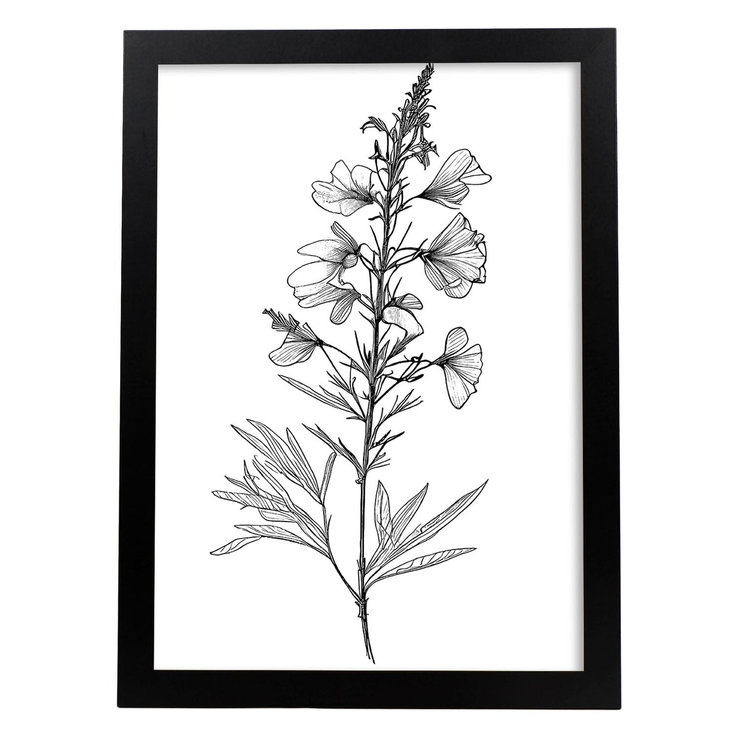 Laminas Nacnic Larkspur Arte Minimalista Lineal