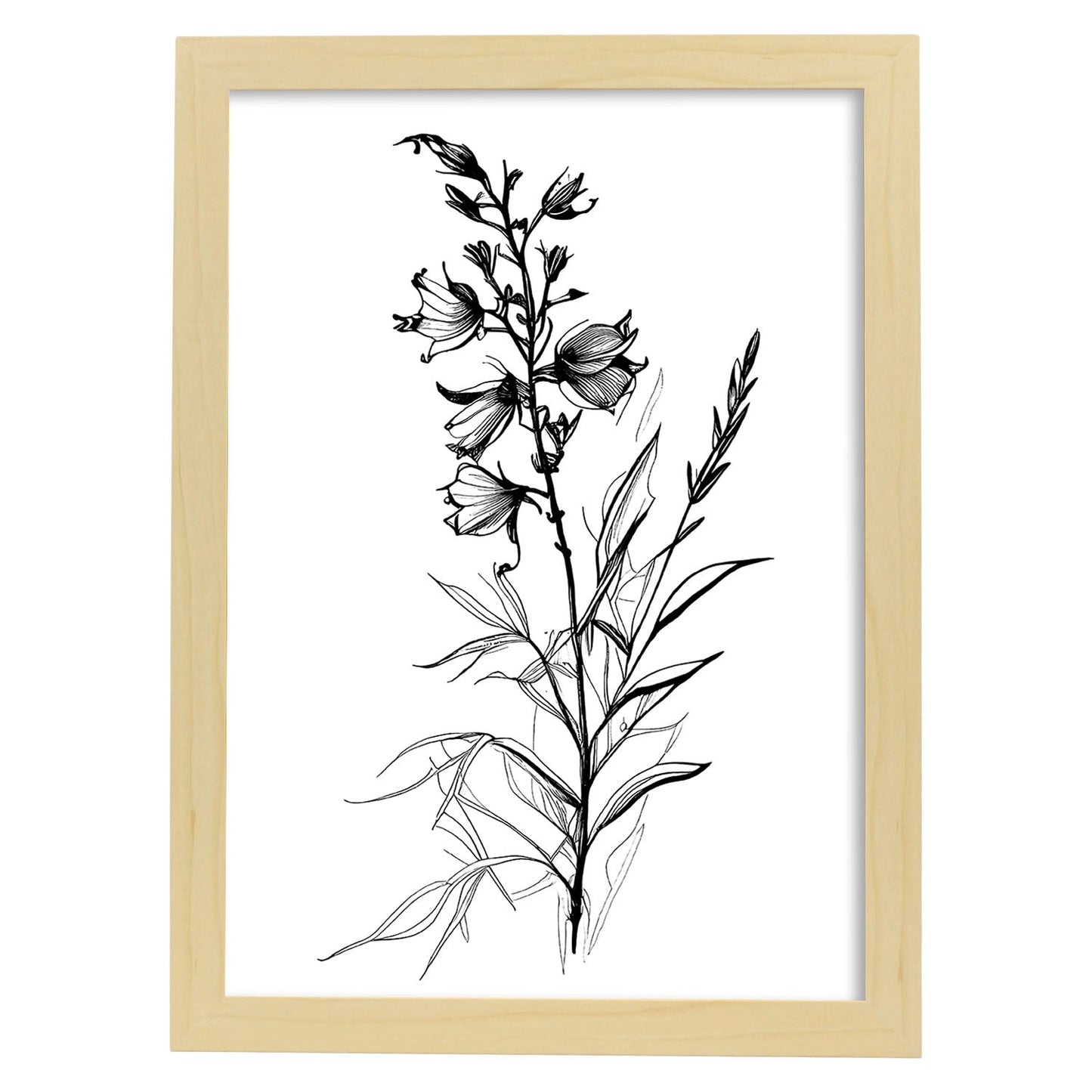 Láminas Minimalistas de Nacnic con Arte Lineal de Larkspur