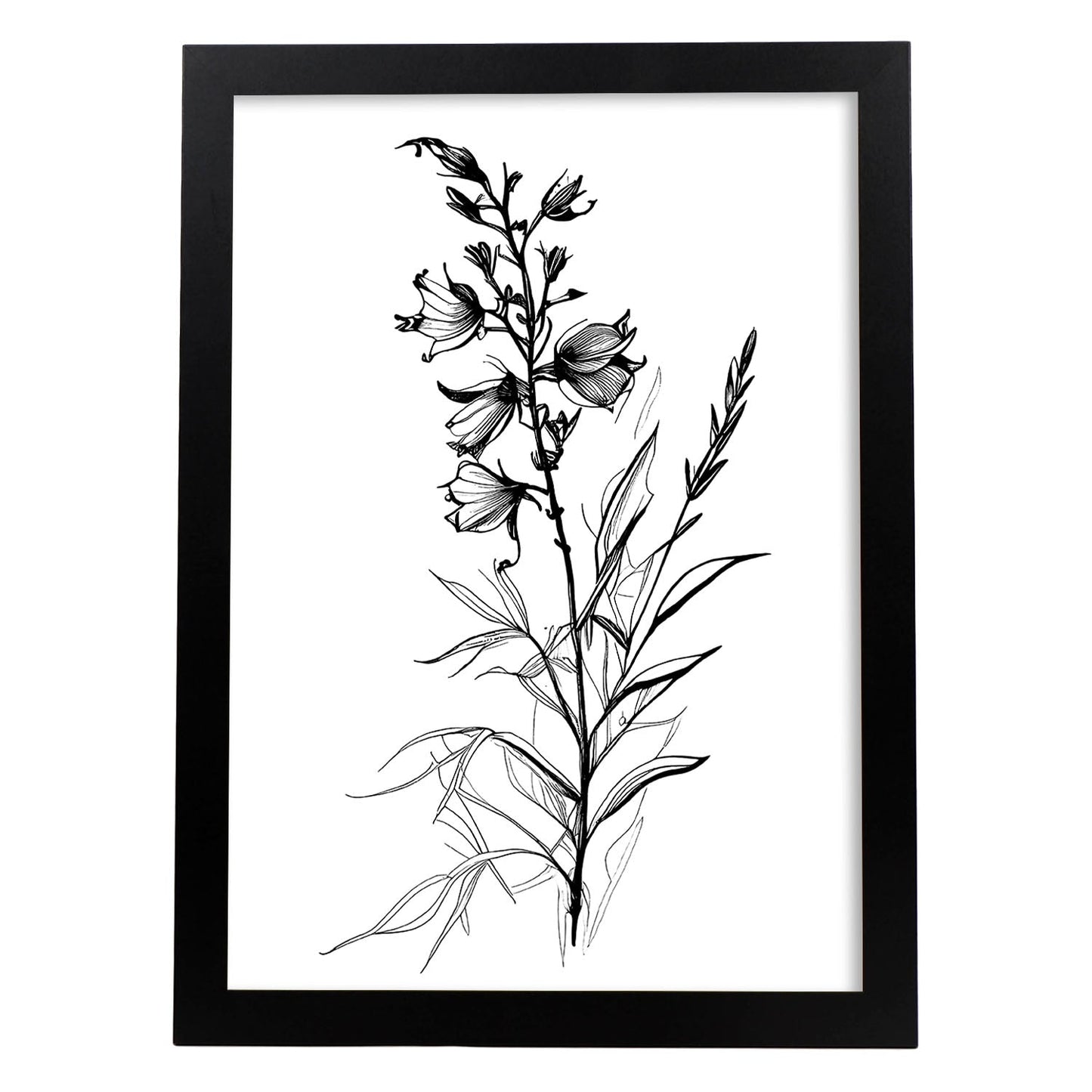 Láminas Minimalistas de Nacnic con Arte Lineal de Larkspur