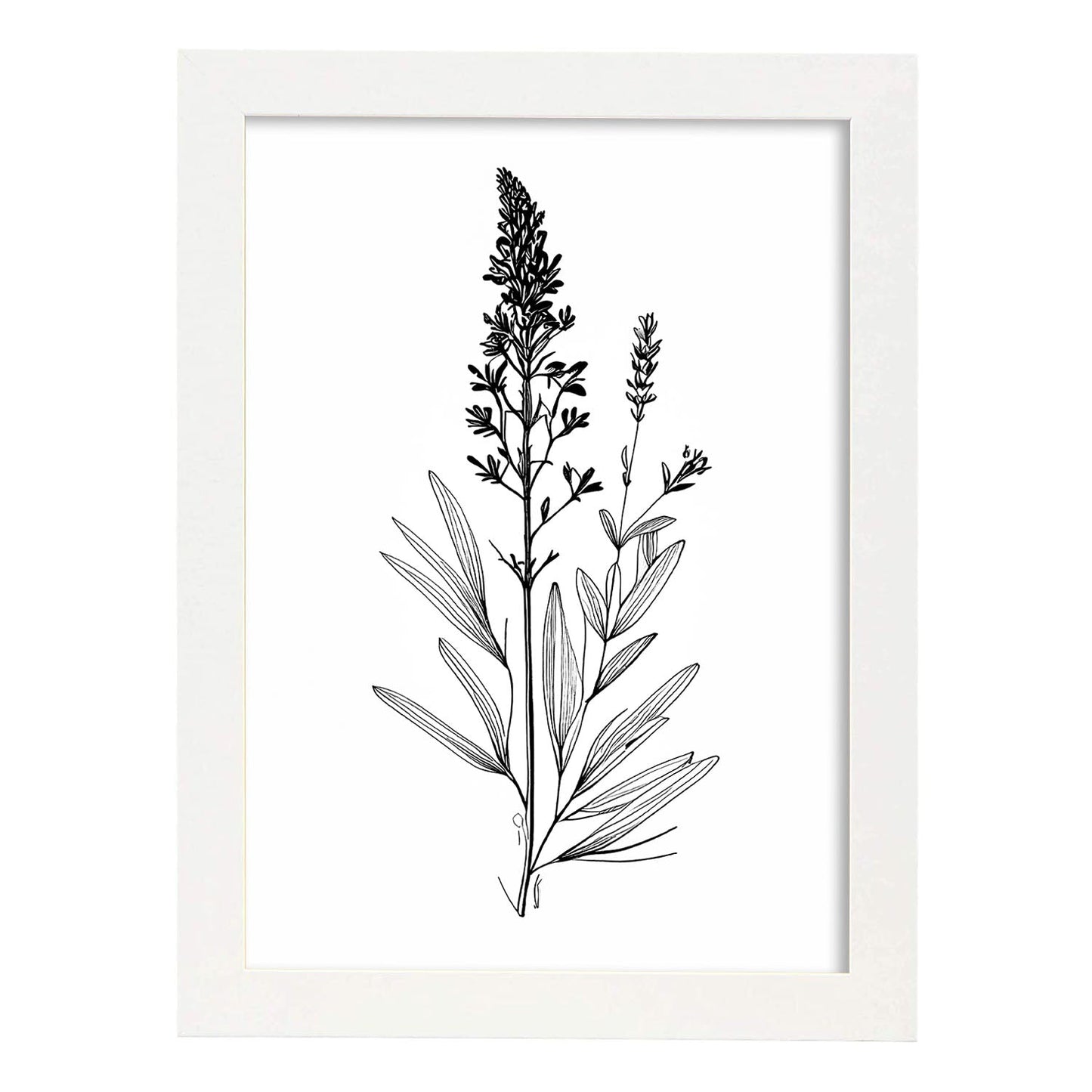 Laminas Minimalistas de Lavanda Nacnic