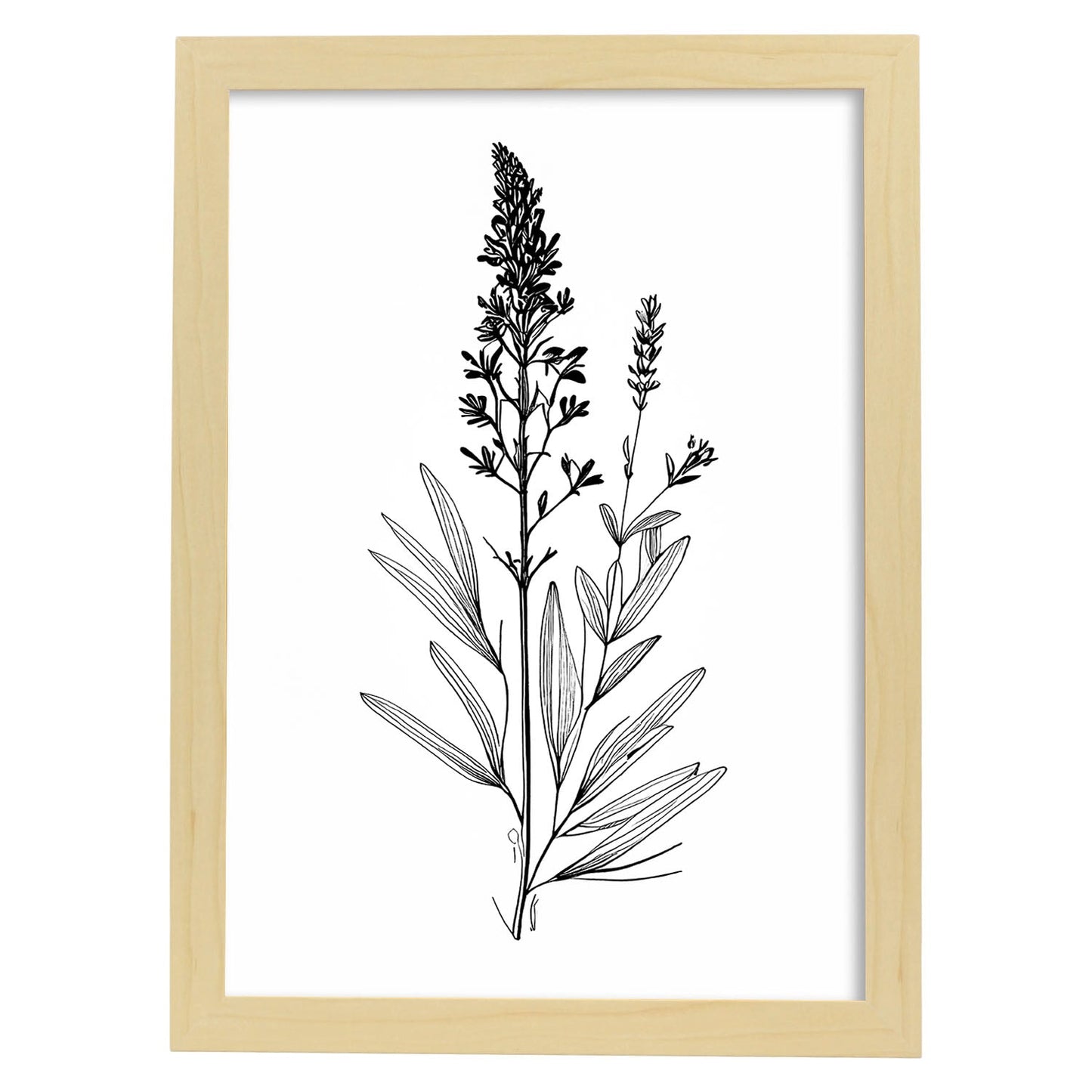 Laminas Minimalistas de Lavanda Nacnic