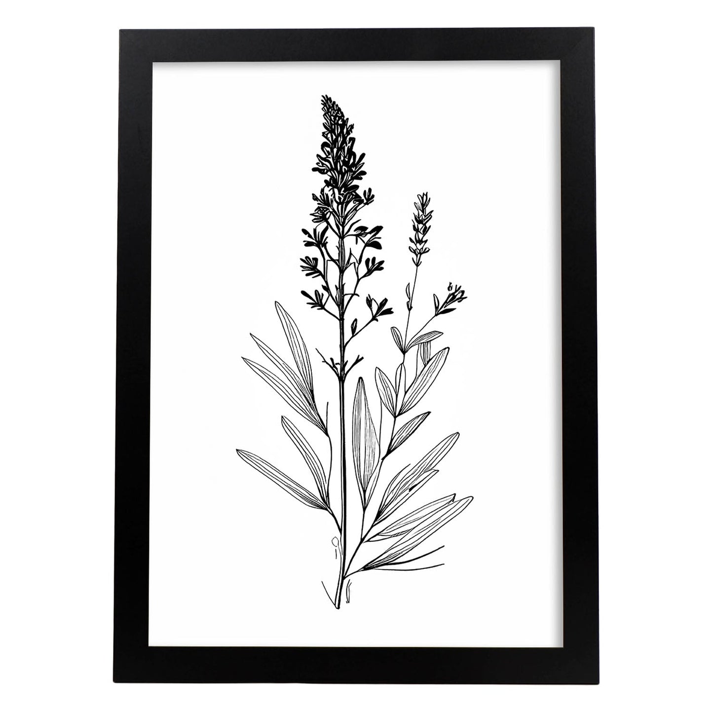 Laminas Minimalistas de Lavanda Nacnic