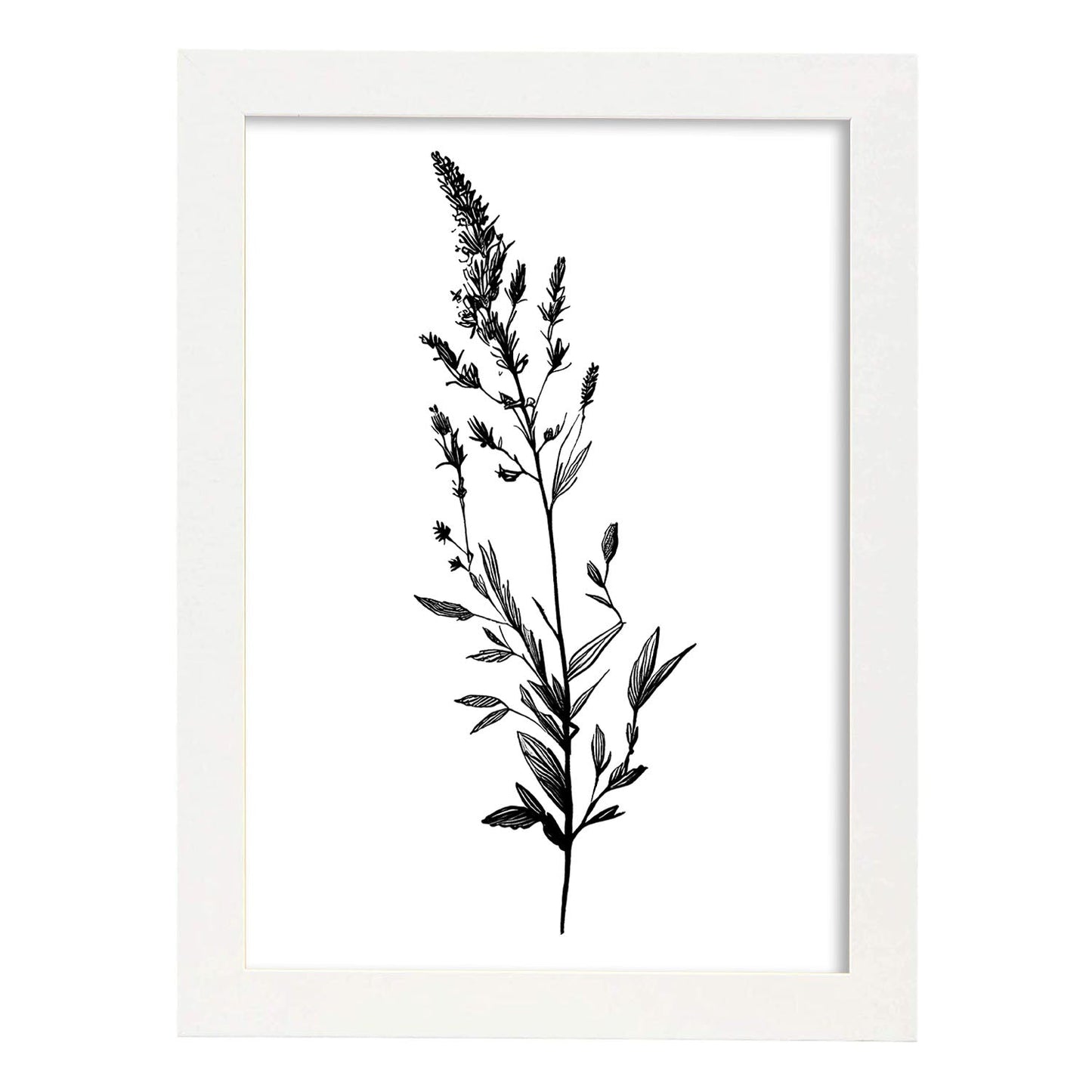 Lámina Nacnic de Lavanda Arte Minimalista
