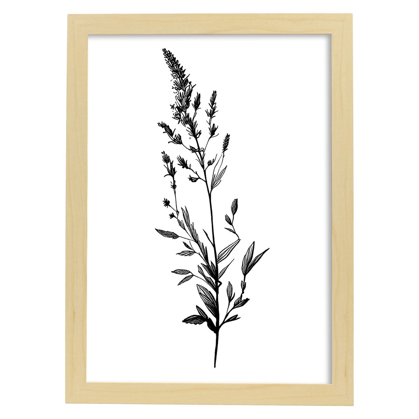 Lámina Nacnic de Lavanda Arte Minimalista