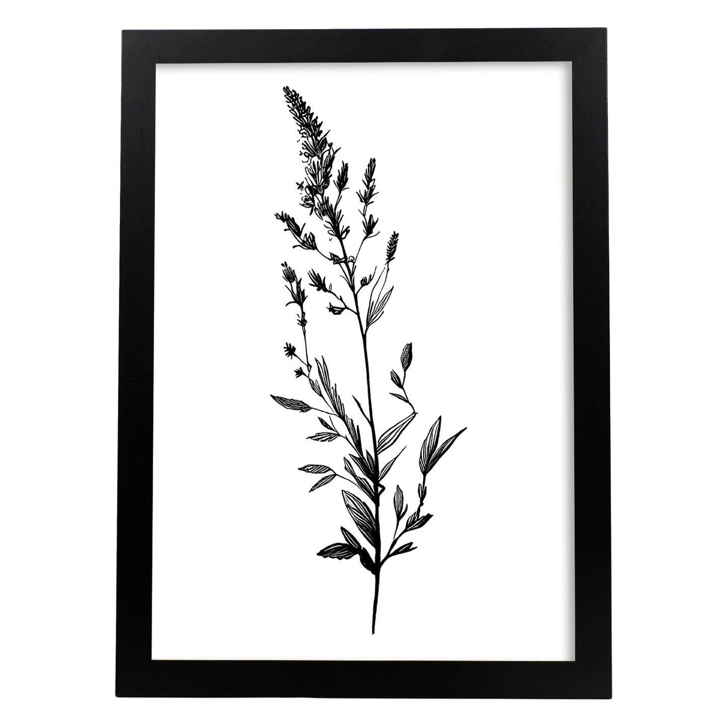 Lámina Nacnic de Lavanda Arte Minimalista