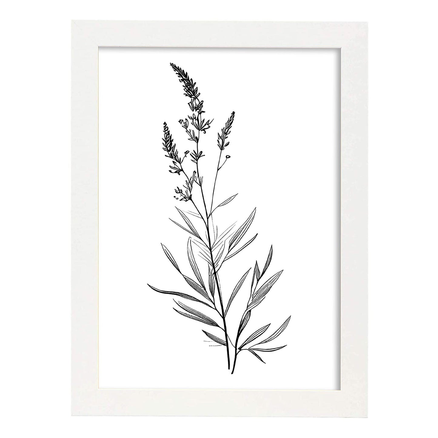 Láminas Nacnic de Lavanda Arte Minimalista Aestético