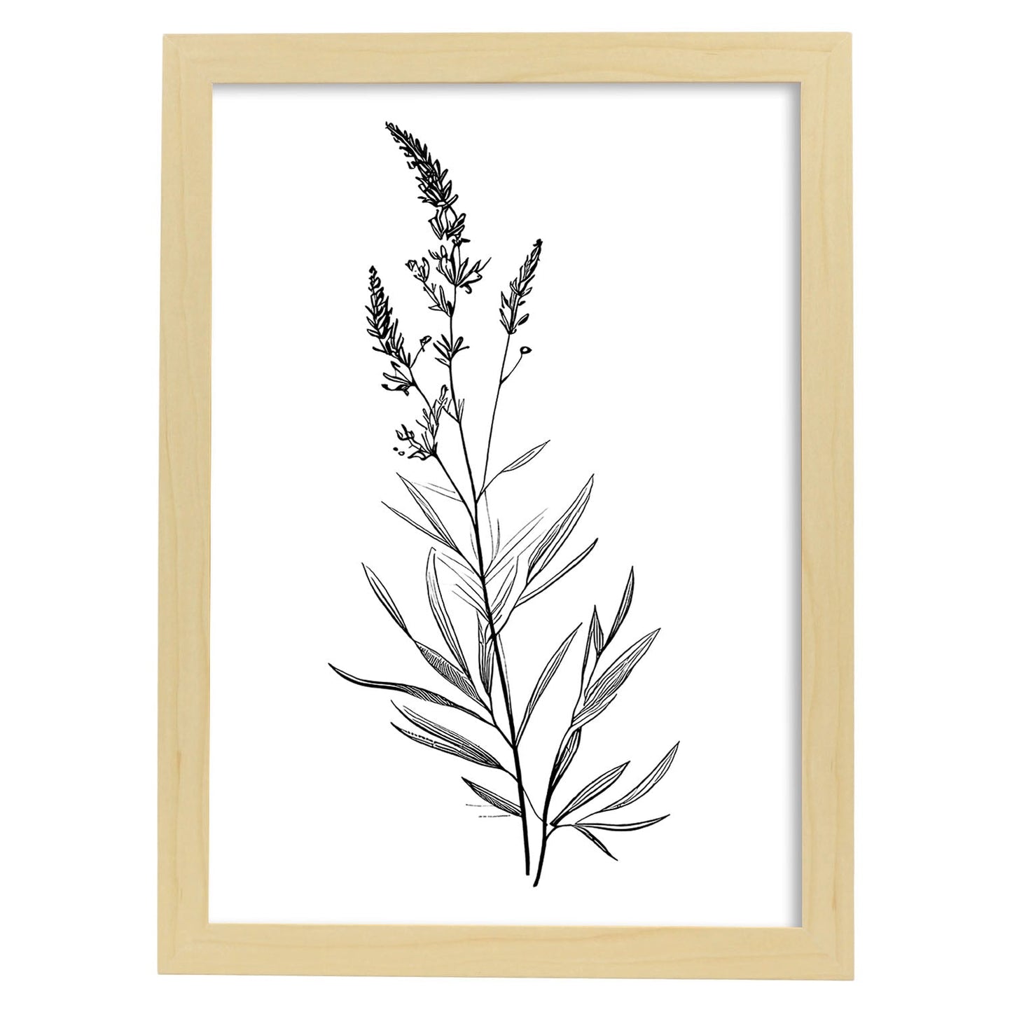 Láminas Nacnic de Lavanda Arte Minimalista Aestético