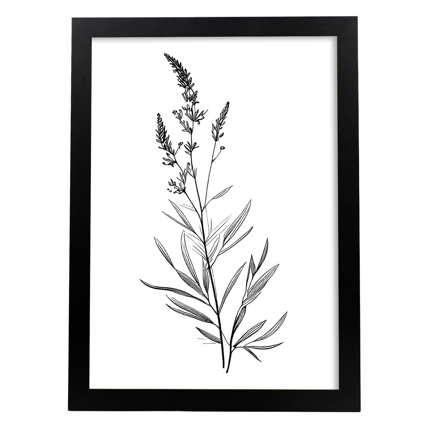 Láminas Nacnic de Lavanda Arte Minimalista Aestético