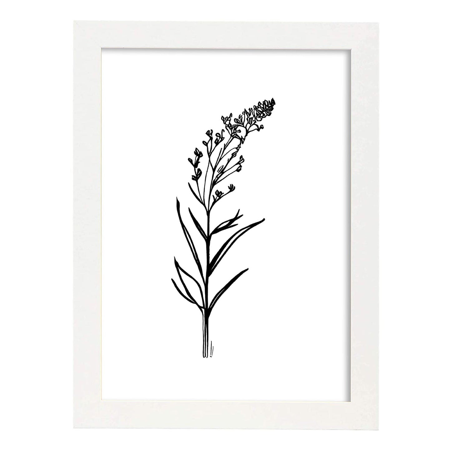 Lámina Nacnic Minimalista de Lavanda