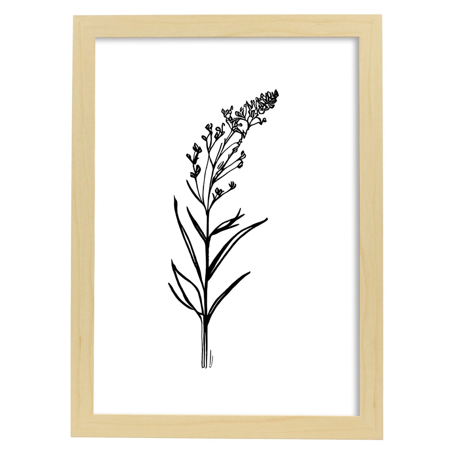 Lámina Nacnic Minimalista de Lavanda