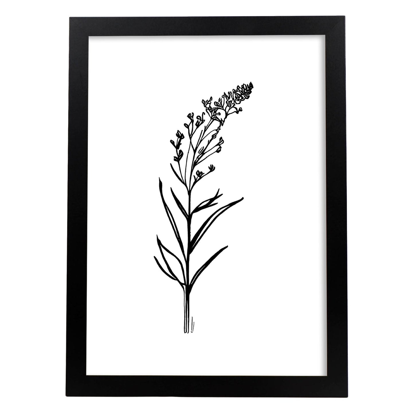 Lámina Nacnic Minimalista de Lavanda