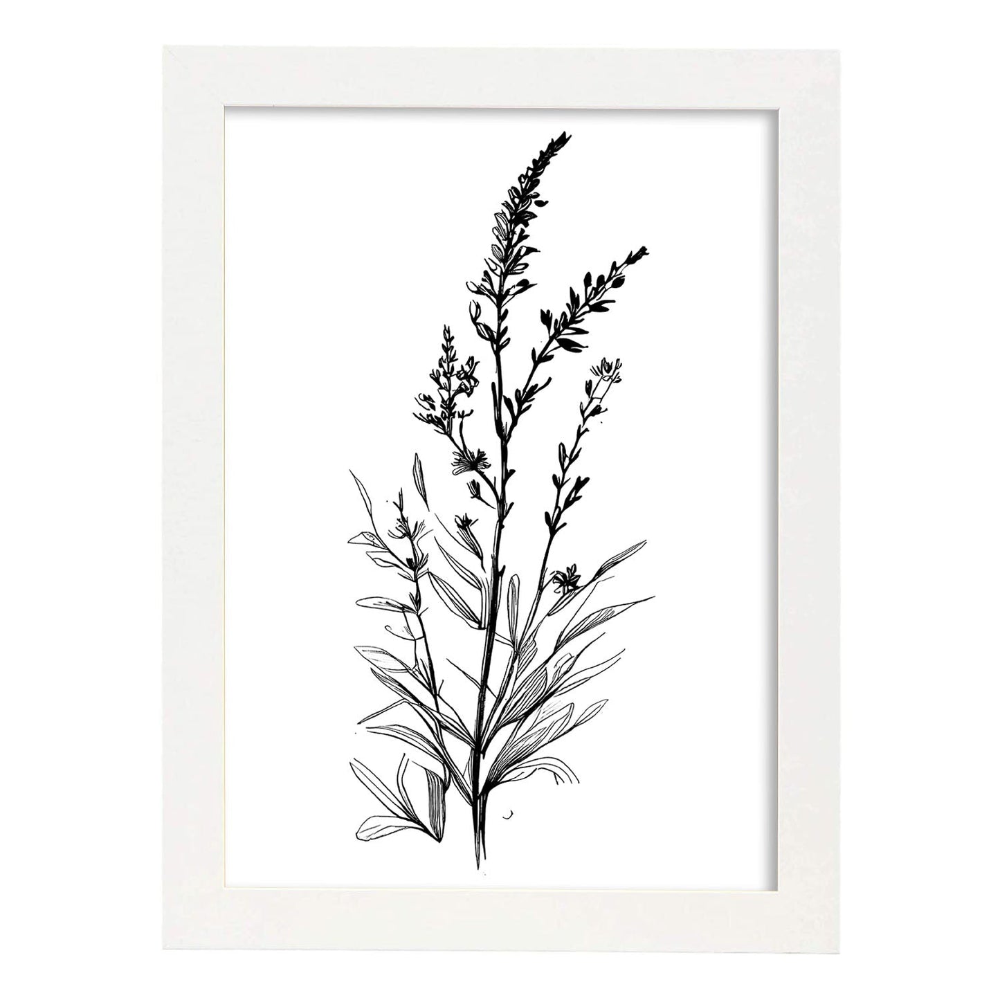 Láminas Minimalistas de Lavanda Nacnic