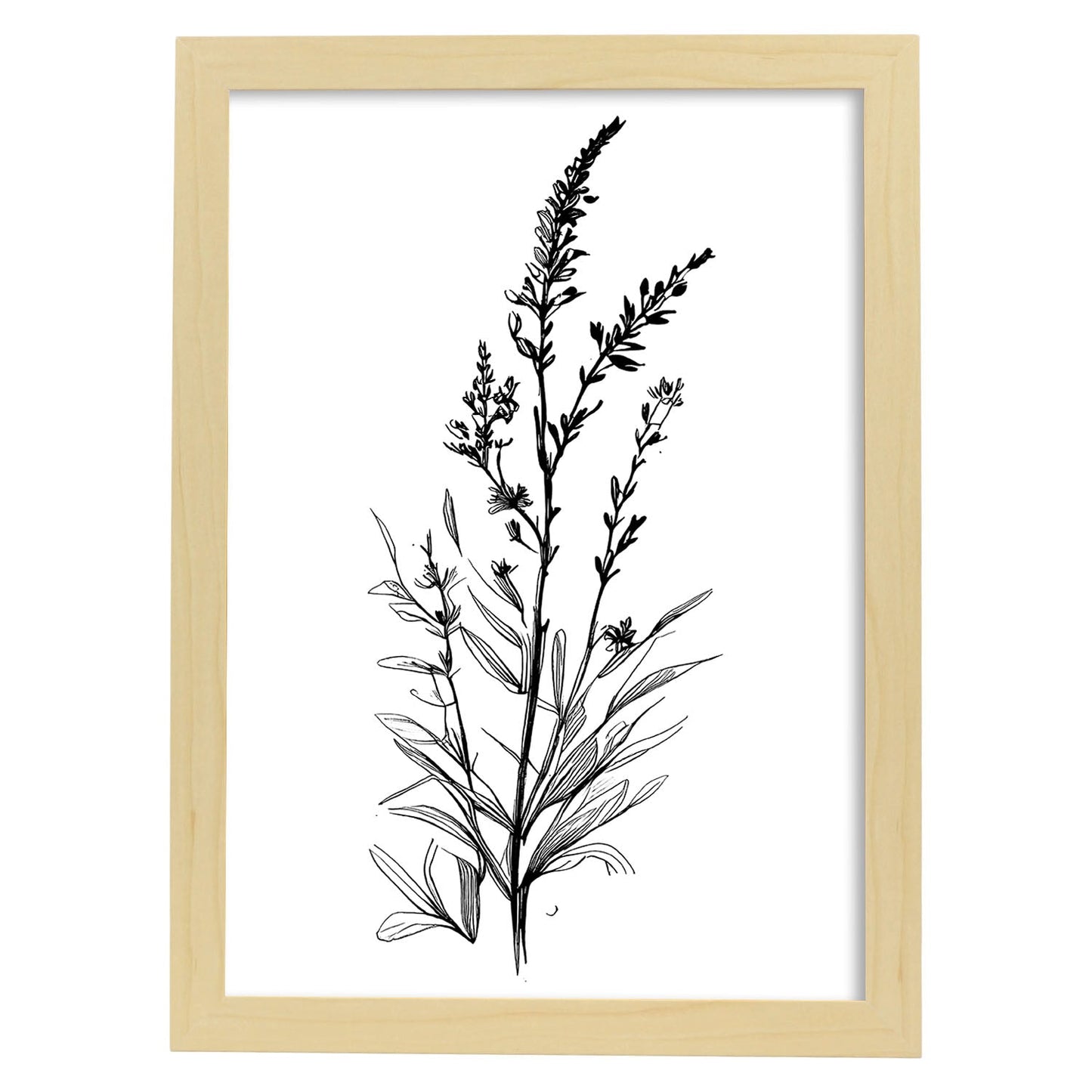 Láminas Minimalistas de Lavanda Nacnic