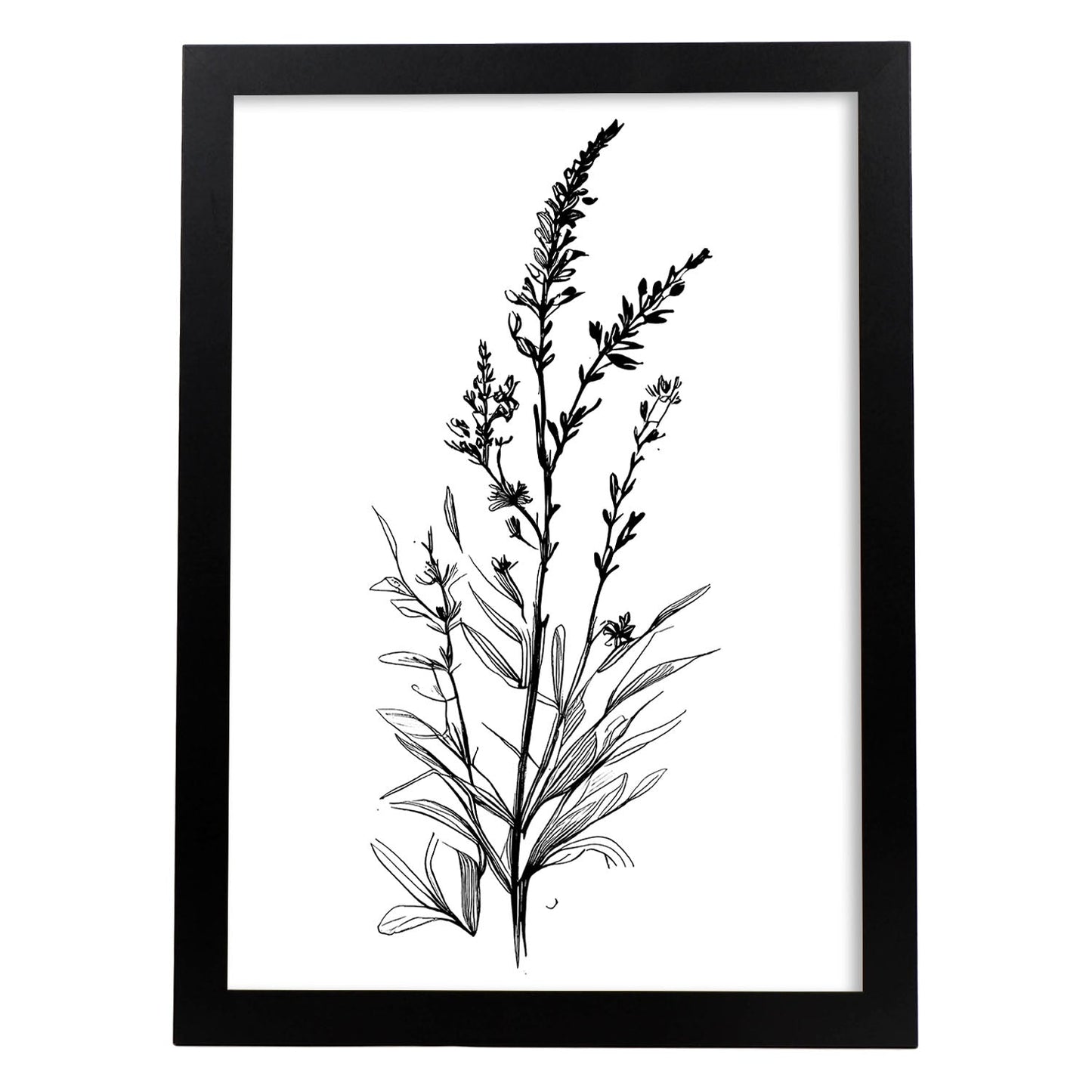 Láminas Minimalistas de Lavanda Nacnic