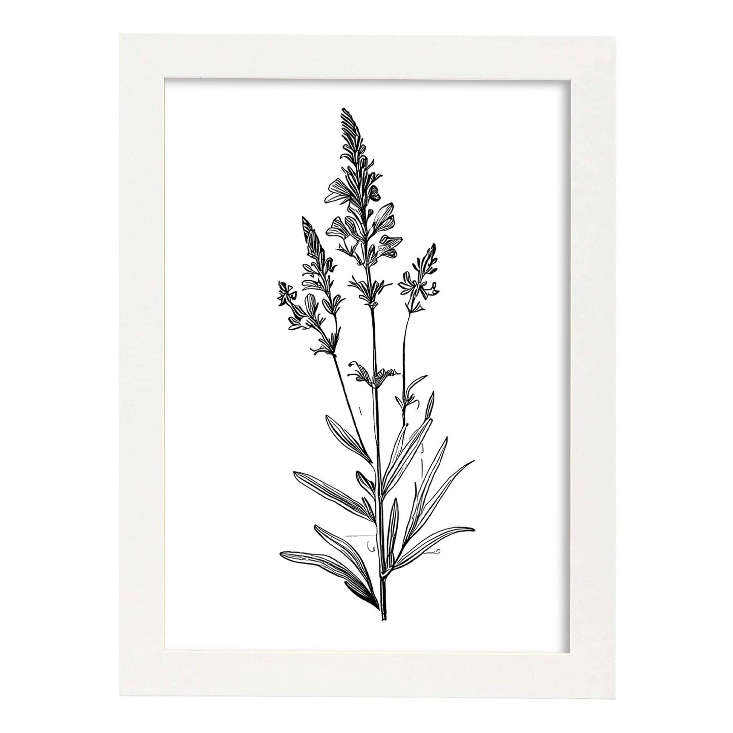Láminas Minimalistas de Lavanda Nacnic