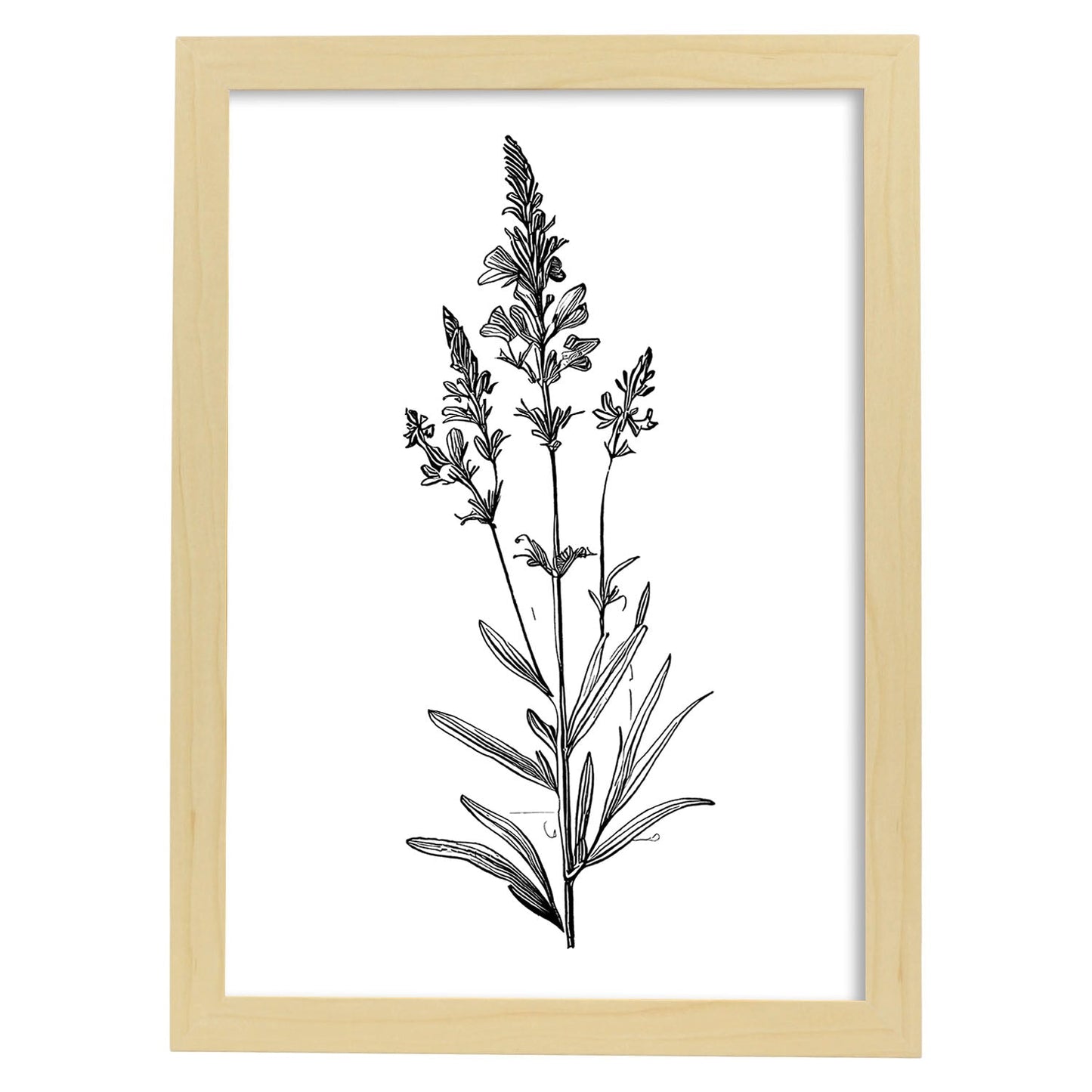 Láminas Minimalistas de Lavanda Nacnic