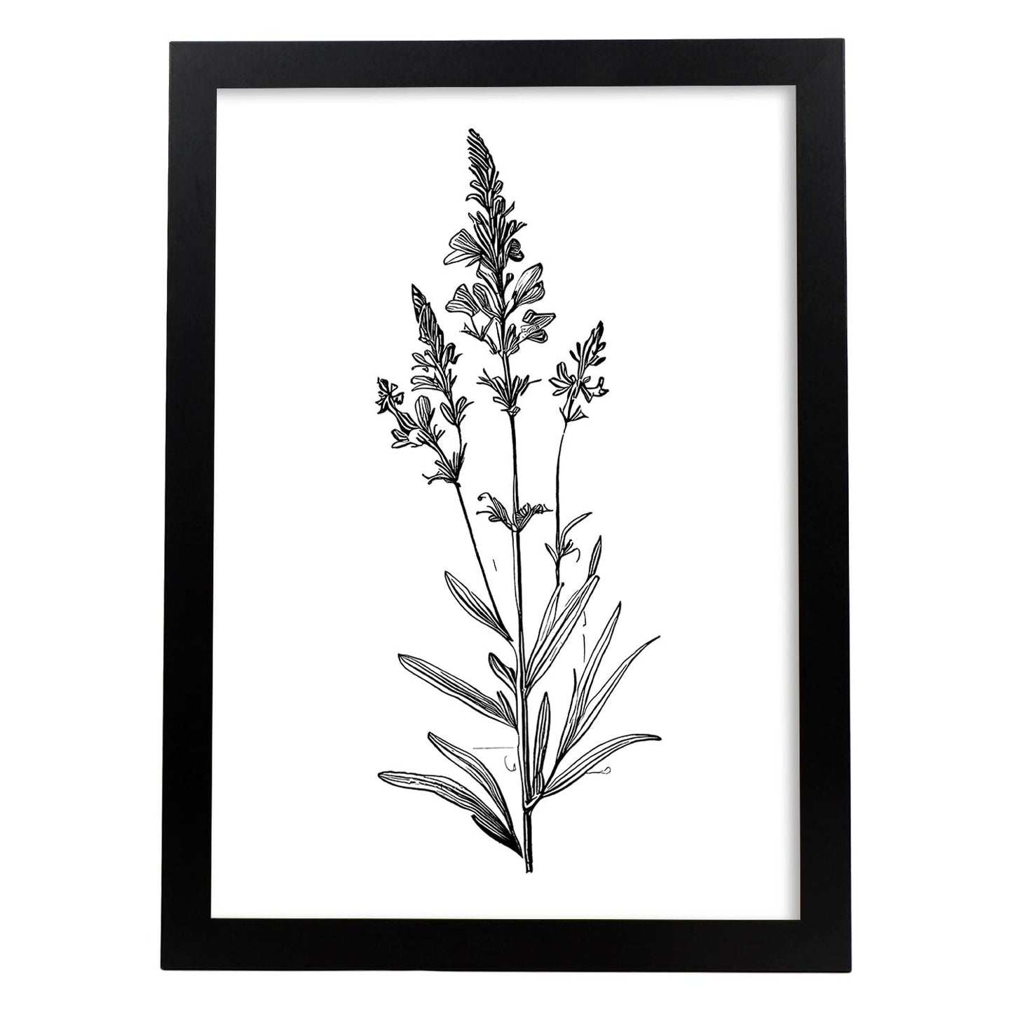 Láminas Minimalistas de Lavanda Nacnic
