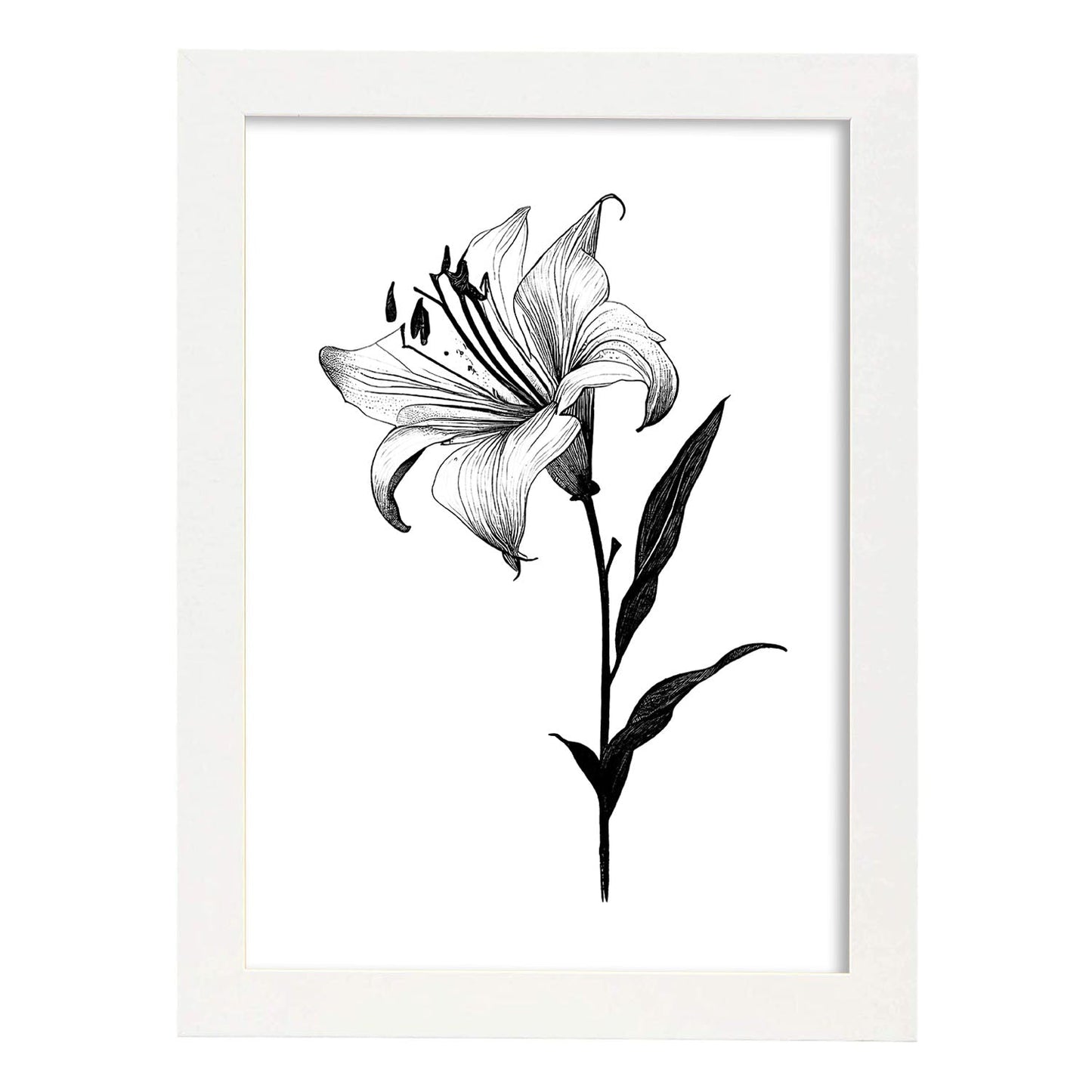 Láminas Nacnic de Arte Minimalista con Líneas de Lirio