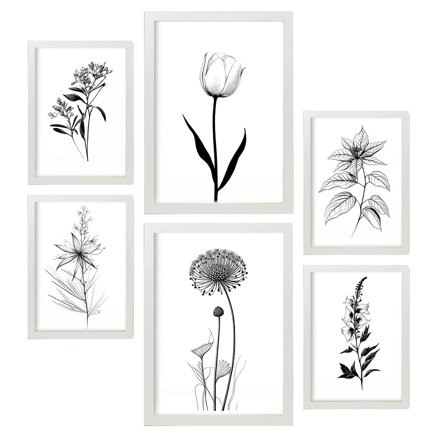 Nacnic Láminas de Flores Estéticas Lineales Set_2