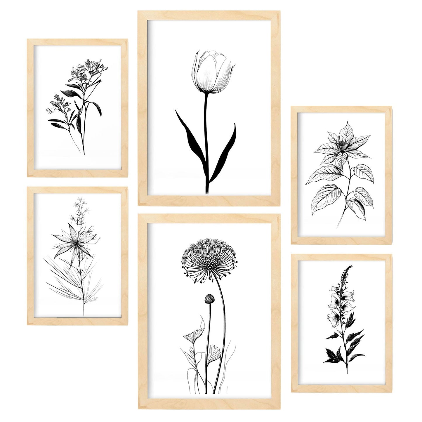 Nacnic Láminas de Flores Estéticas Lineales Set_2