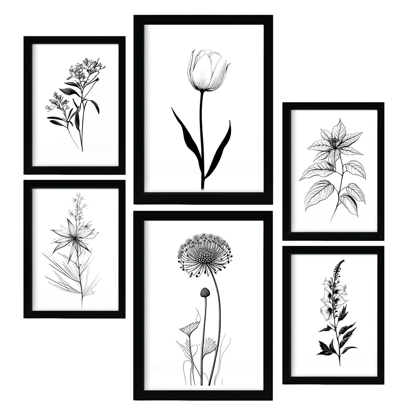 Nacnic Láminas de Flores Estéticas Lineales Set_2