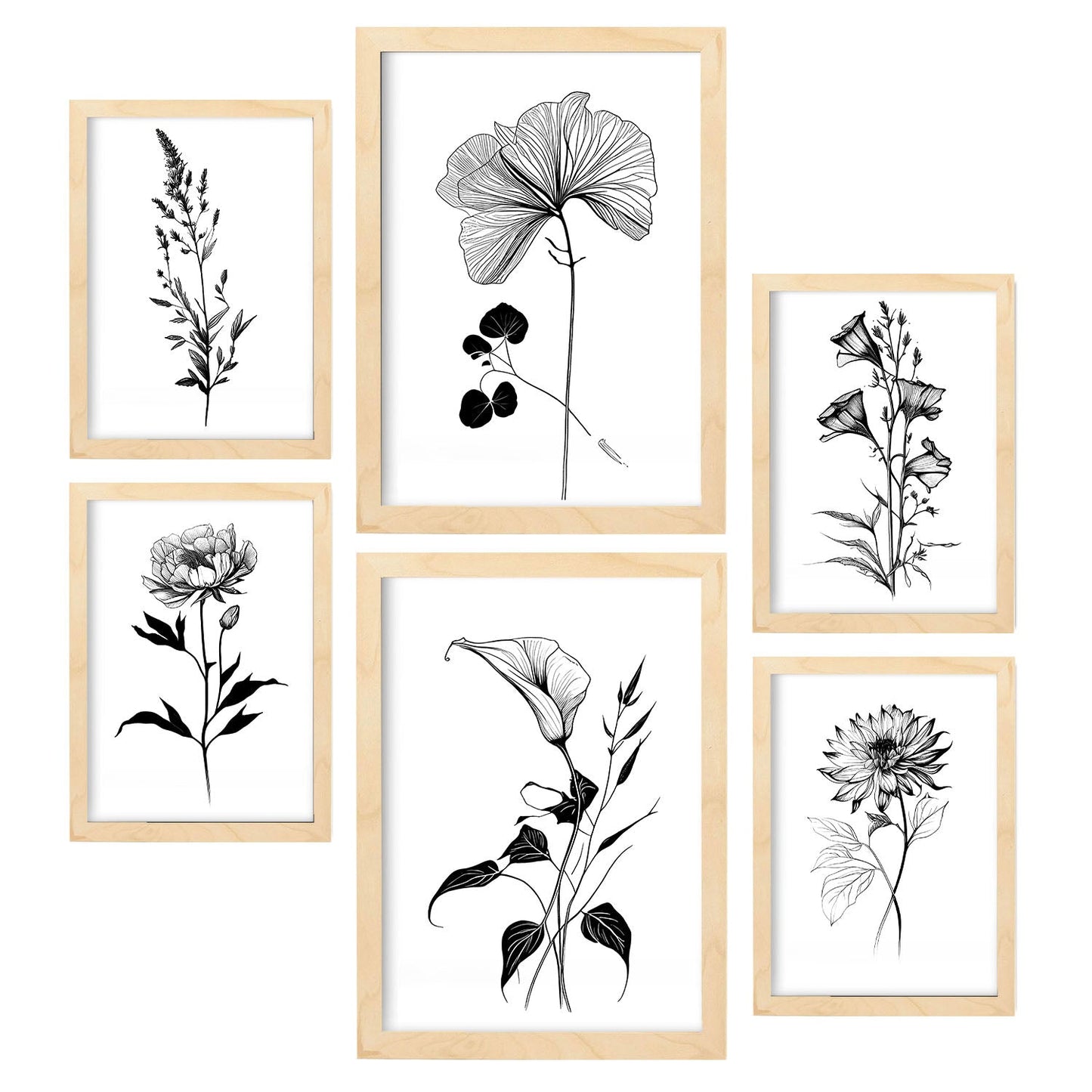Láminas de Flores Estéticas Nacnic Set_4
