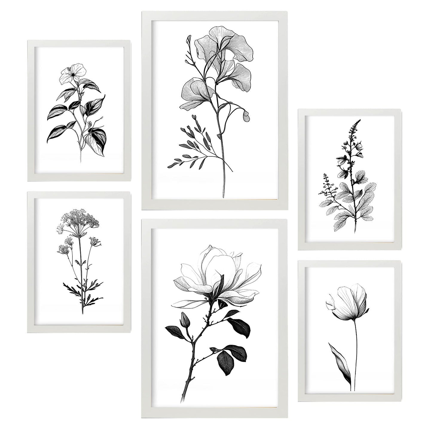 Laminas Nacnic de Flores Lineales Set_5