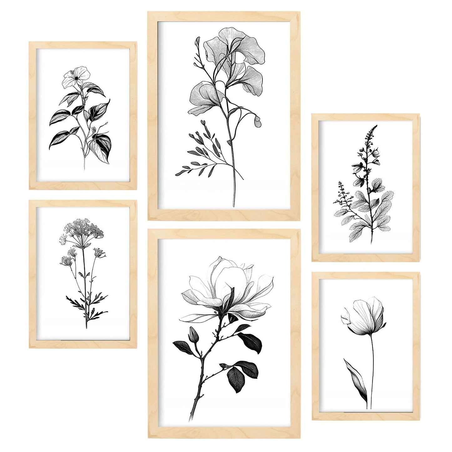 Laminas Nacnic de Flores Lineales Set_5