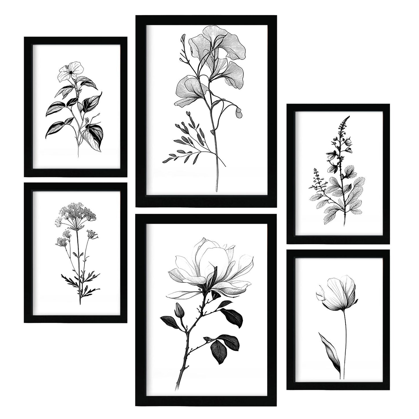 Laminas Nacnic de Flores Lineales Set_5