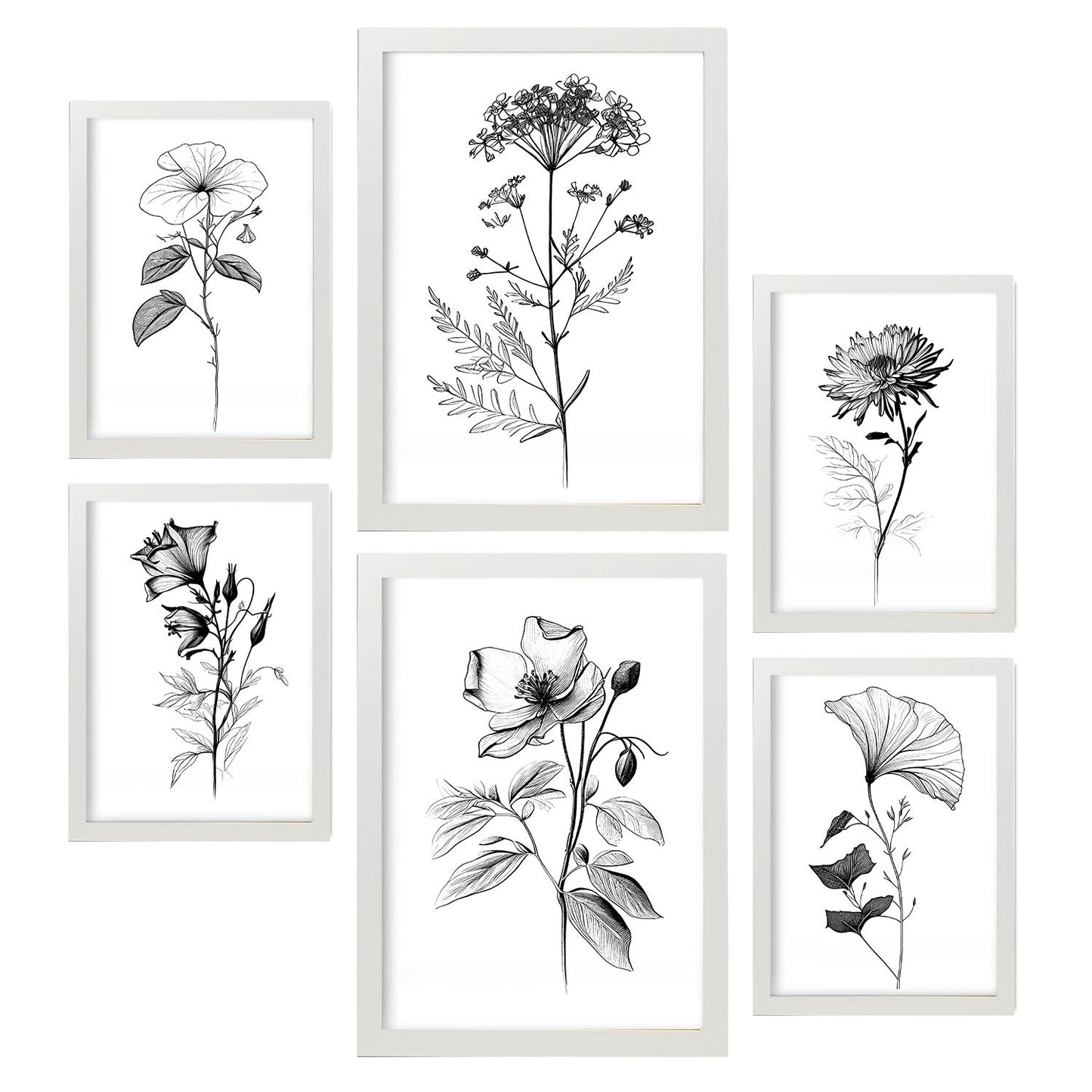 Nacnic Conjunto de Láminas Line Flowers_6 para Diseño de Habitación