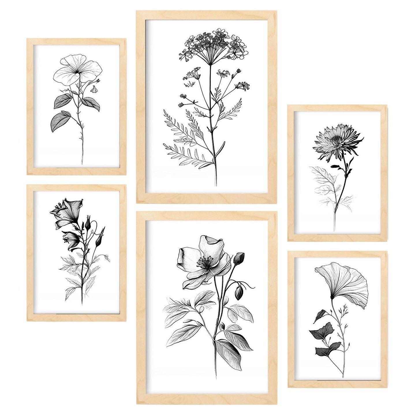 Nacnic Conjunto de Láminas Line Flowers_6 para Diseño de Habitación