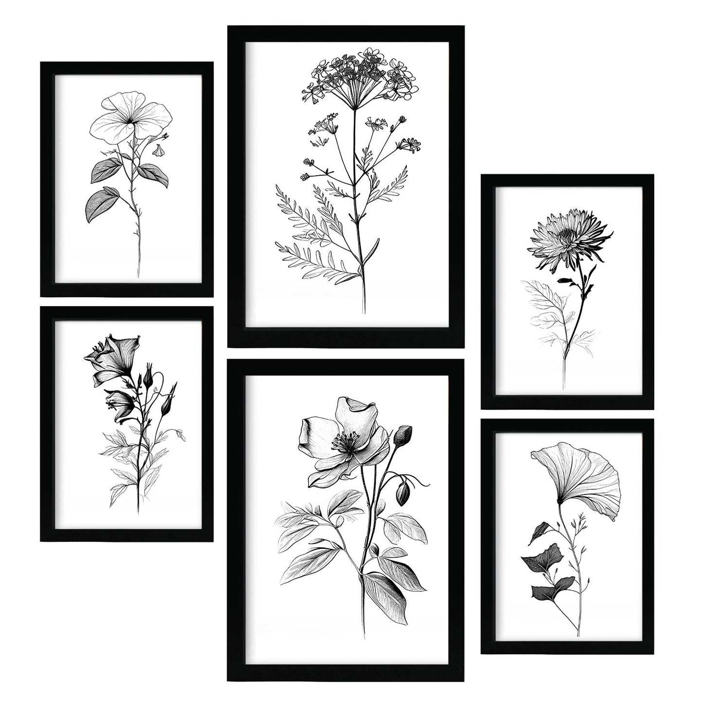 Nacnic Conjunto de Láminas Line Flowers_6 para Diseño de Habitación
