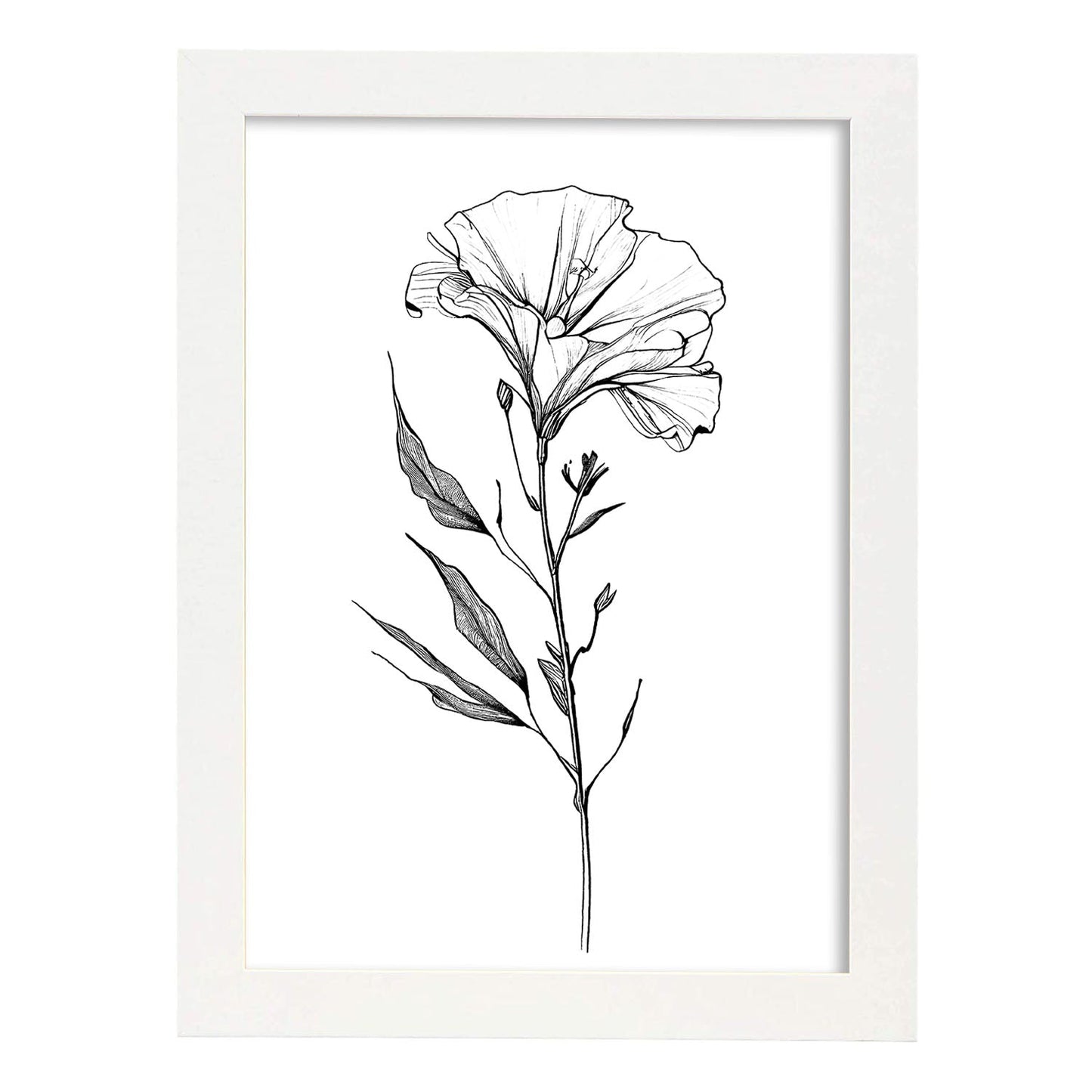 Lámina Minimalista de Lisianthus Nacnic