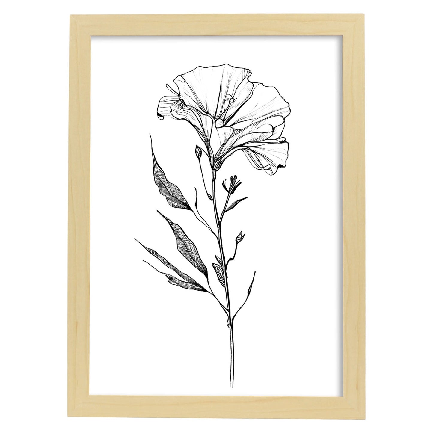 Lámina Minimalista de Lisianthus Nacnic