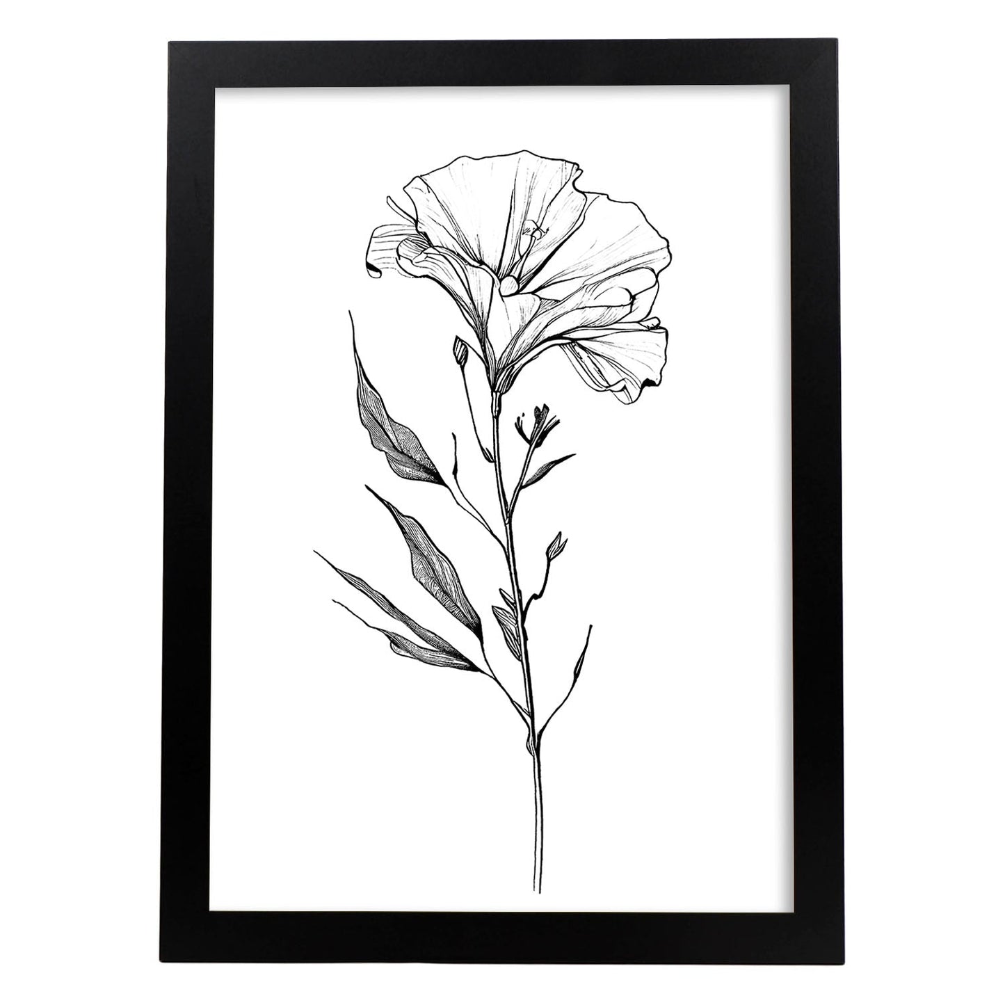 Lámina Minimalista de Lisianthus Nacnic