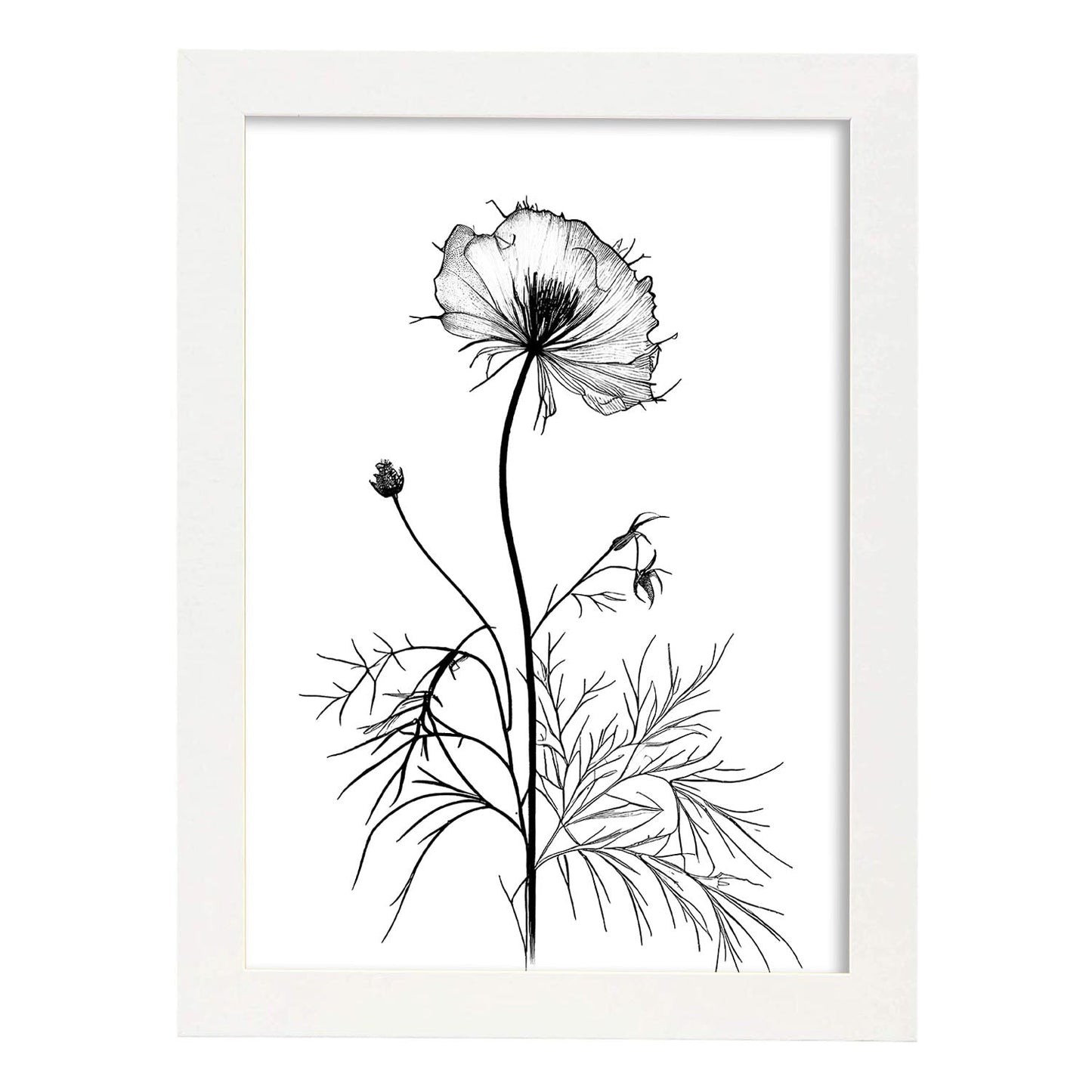 Lámina Minimalista Nacnic Love-in-a-Mist