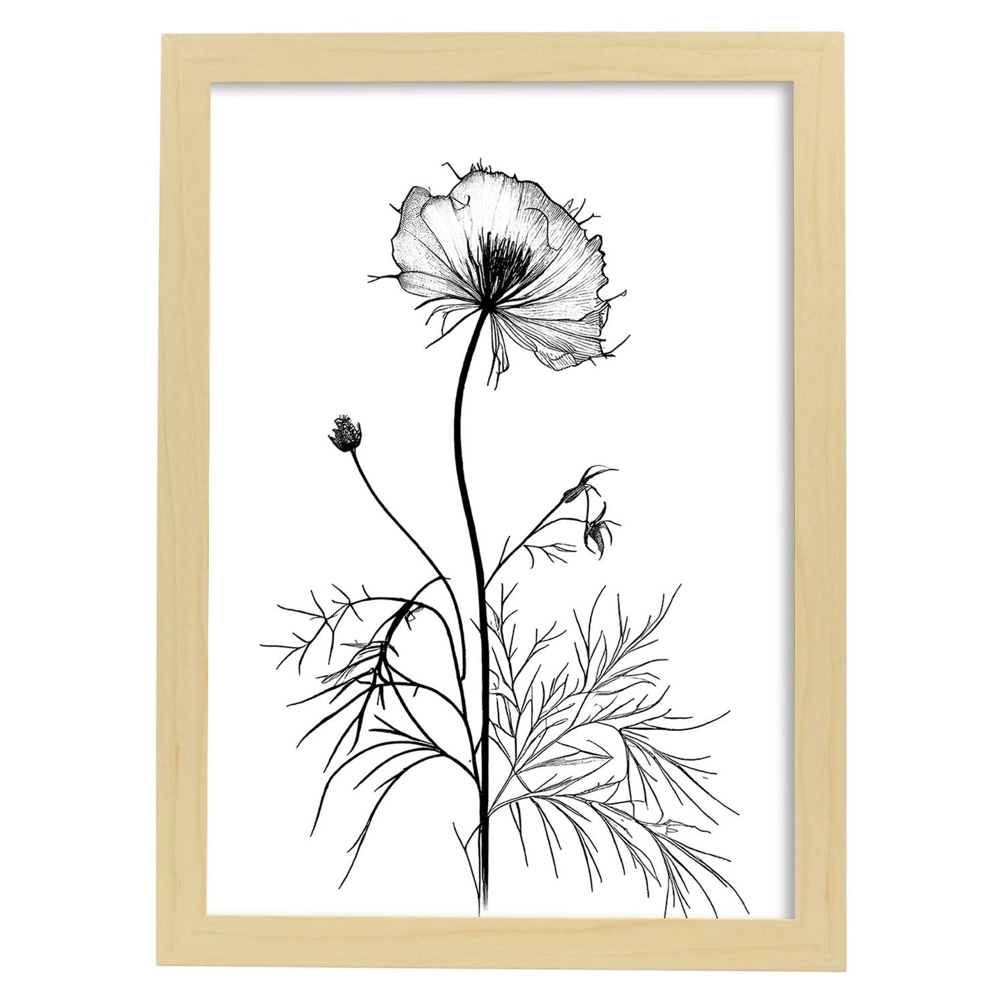 Lámina Minimalista Nacnic Love-in-a-Mist