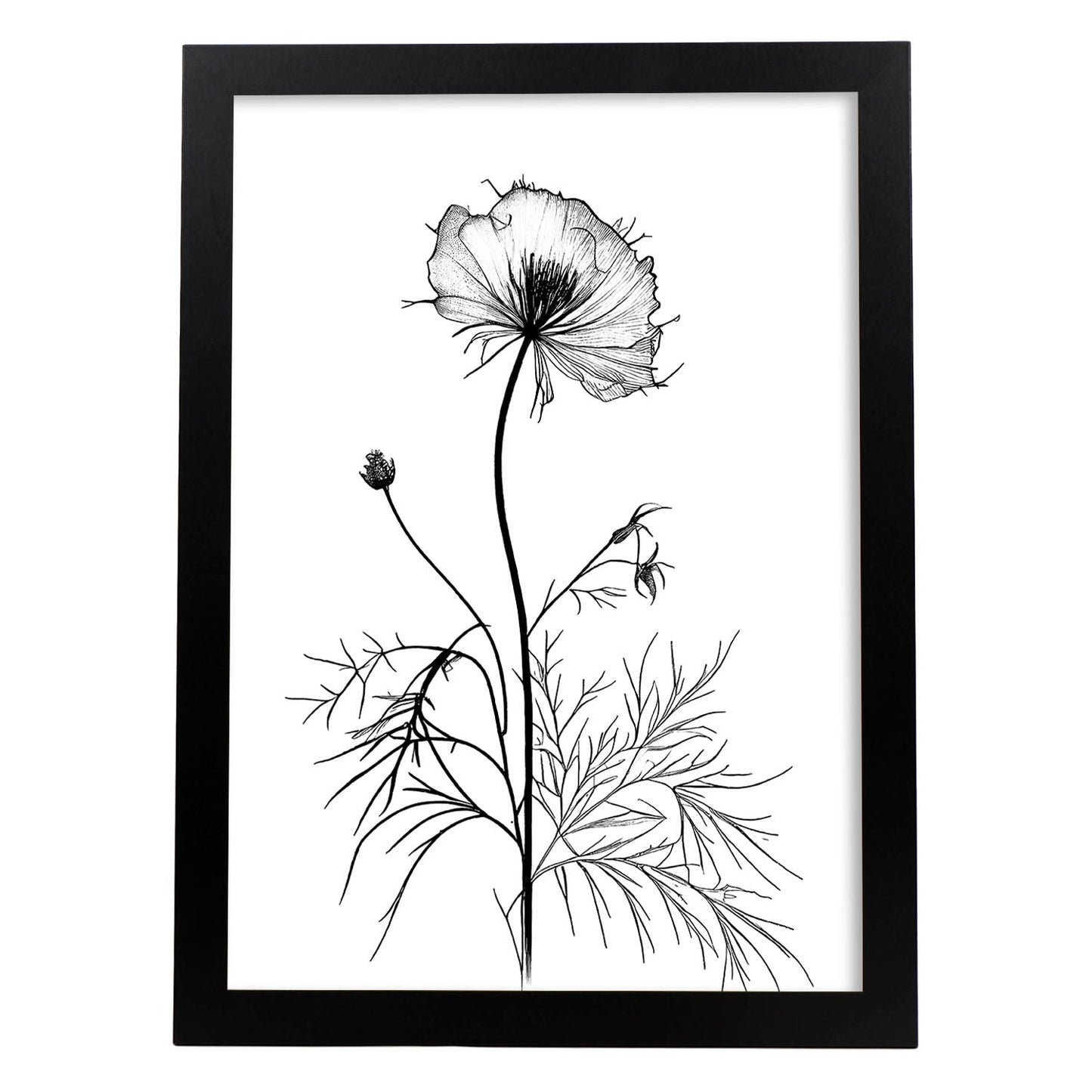 Lámina Minimalista Nacnic Love-in-a-Mist