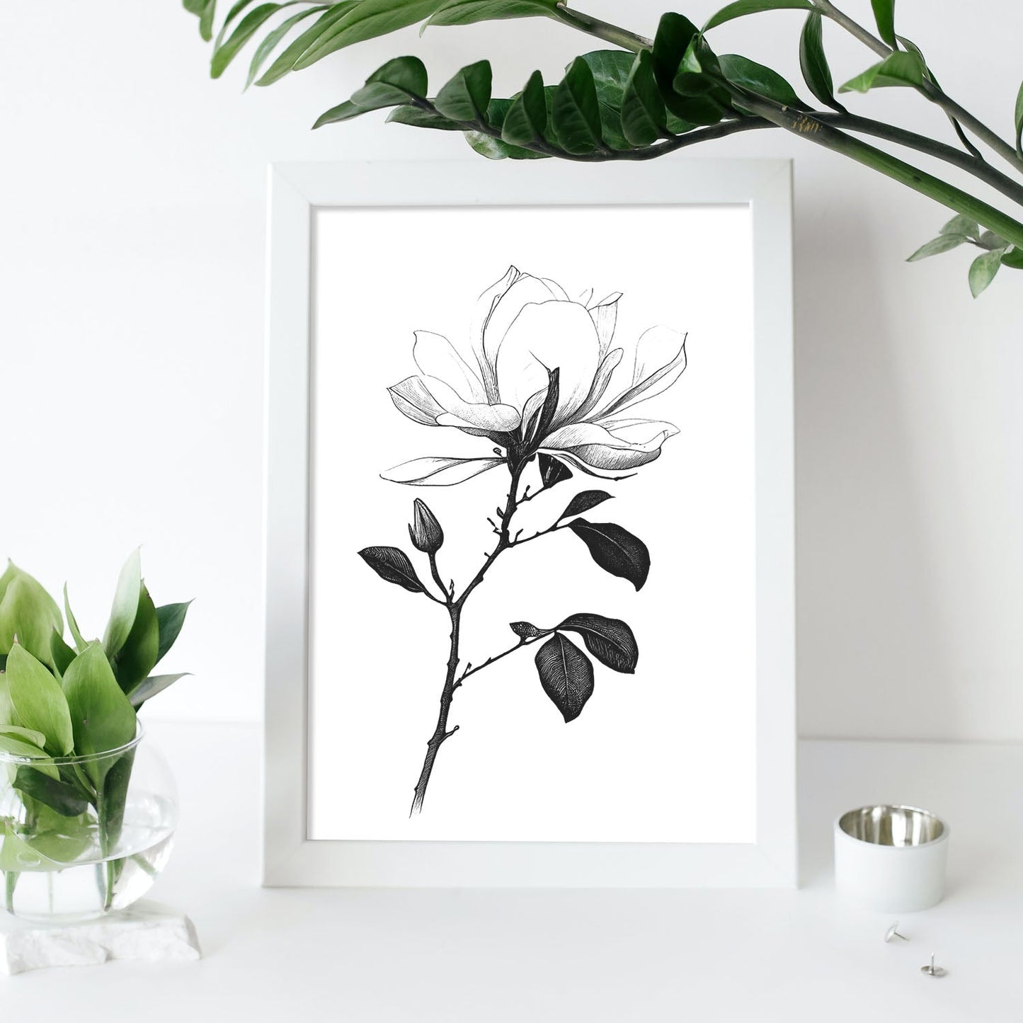 Láminas Nacnic Magnolia Arte Minimalista Lineal