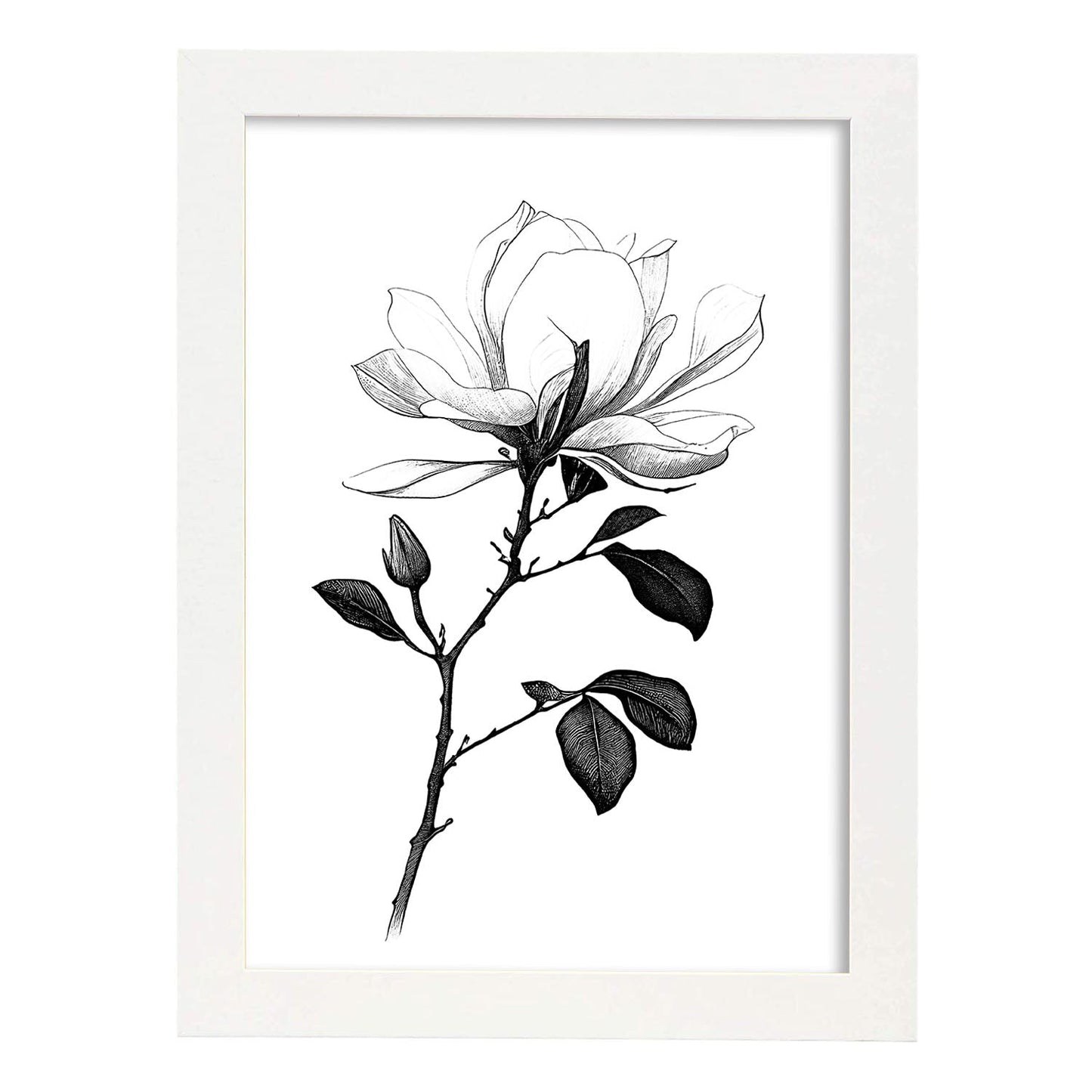 Láminas Nacnic Magnolia Arte Minimalista Lineal