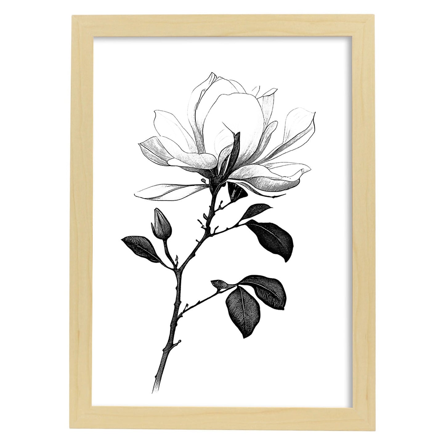 Láminas Nacnic Magnolia Arte Minimalista Lineal