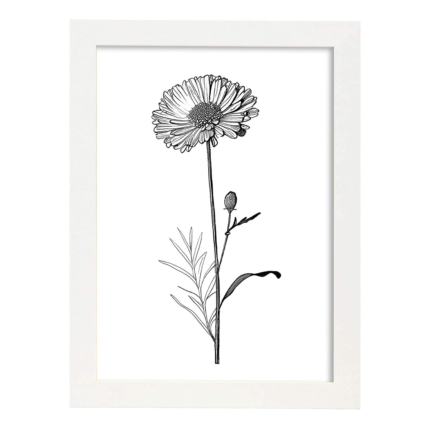 Laminas Nacnic Marigold Arte Minimalista Lineal