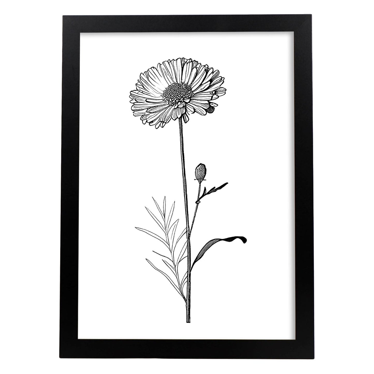 Laminas Nacnic Marigold Arte Minimalista Lineal