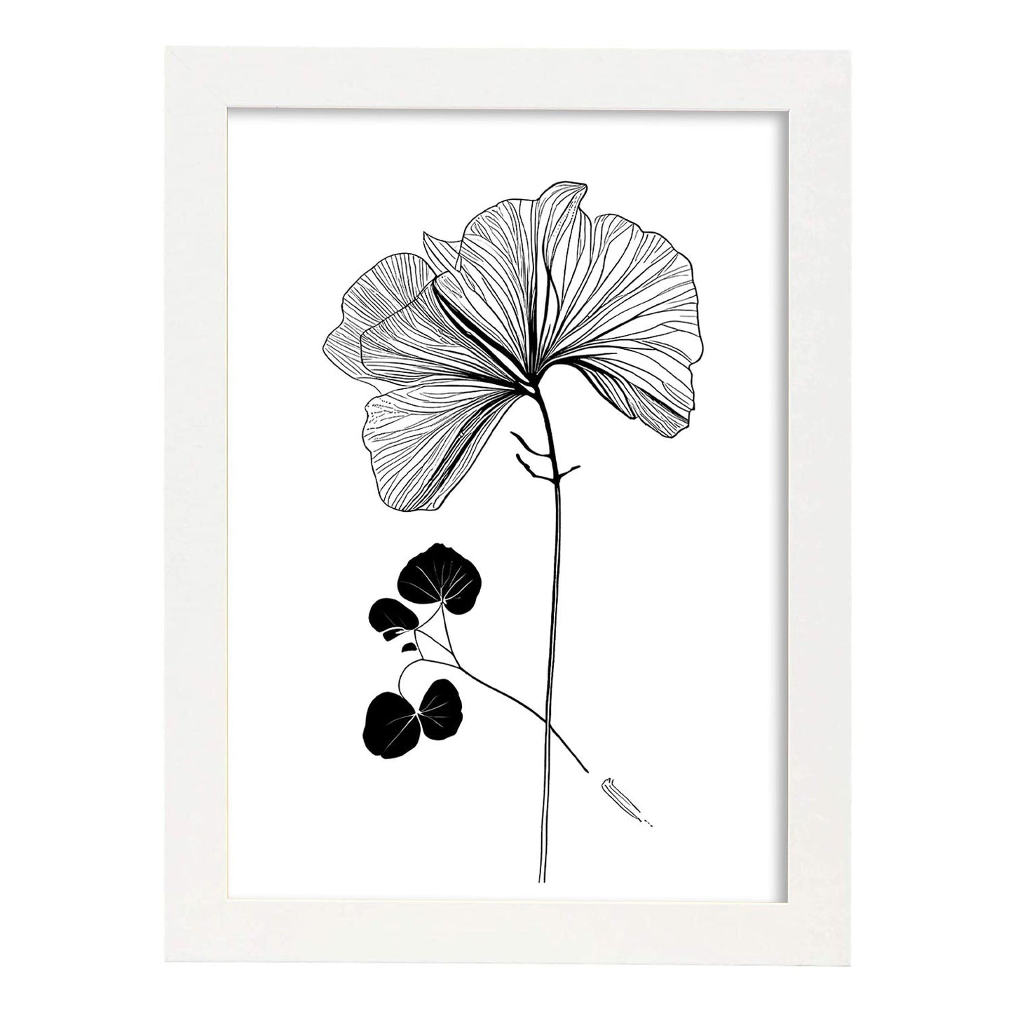 Nacnic Laminas de Arte Minimalista de Capuchina