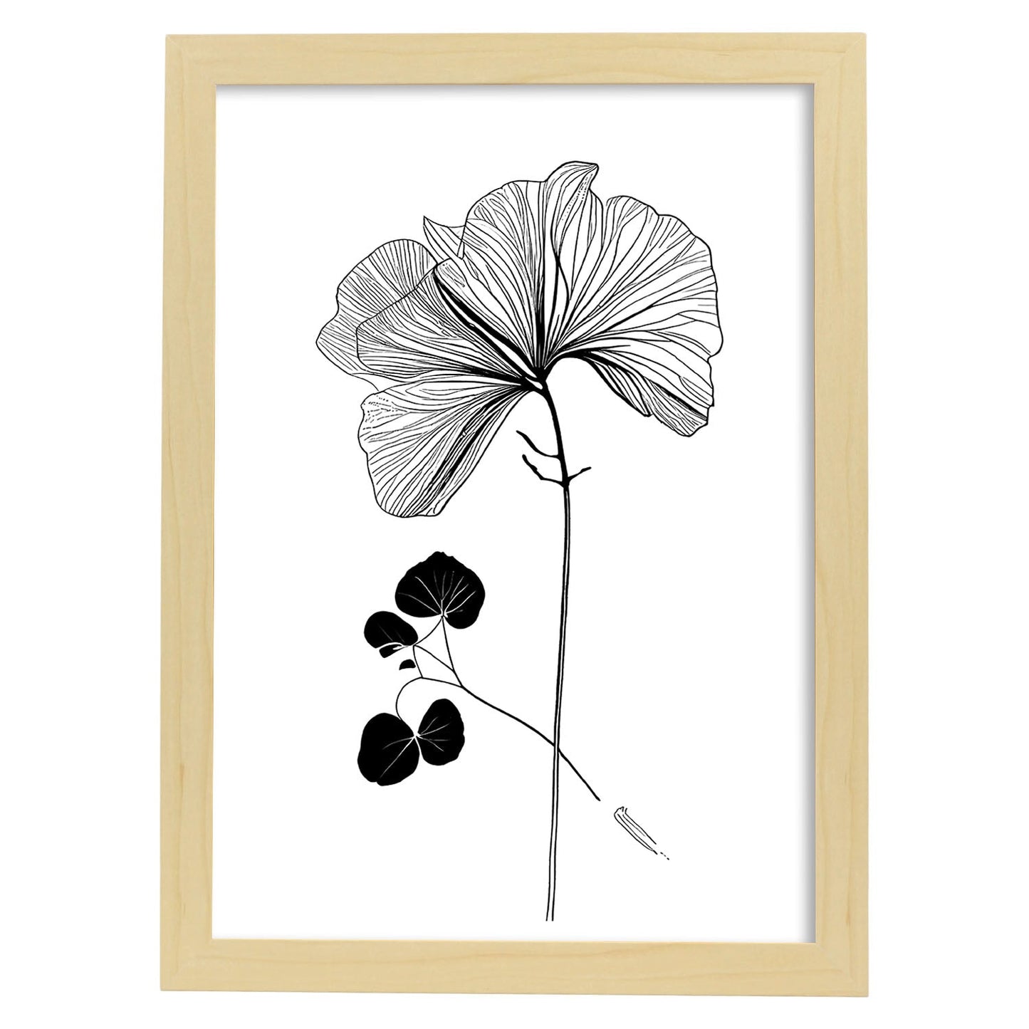 Nacnic Laminas de Arte Minimalista de Capuchina