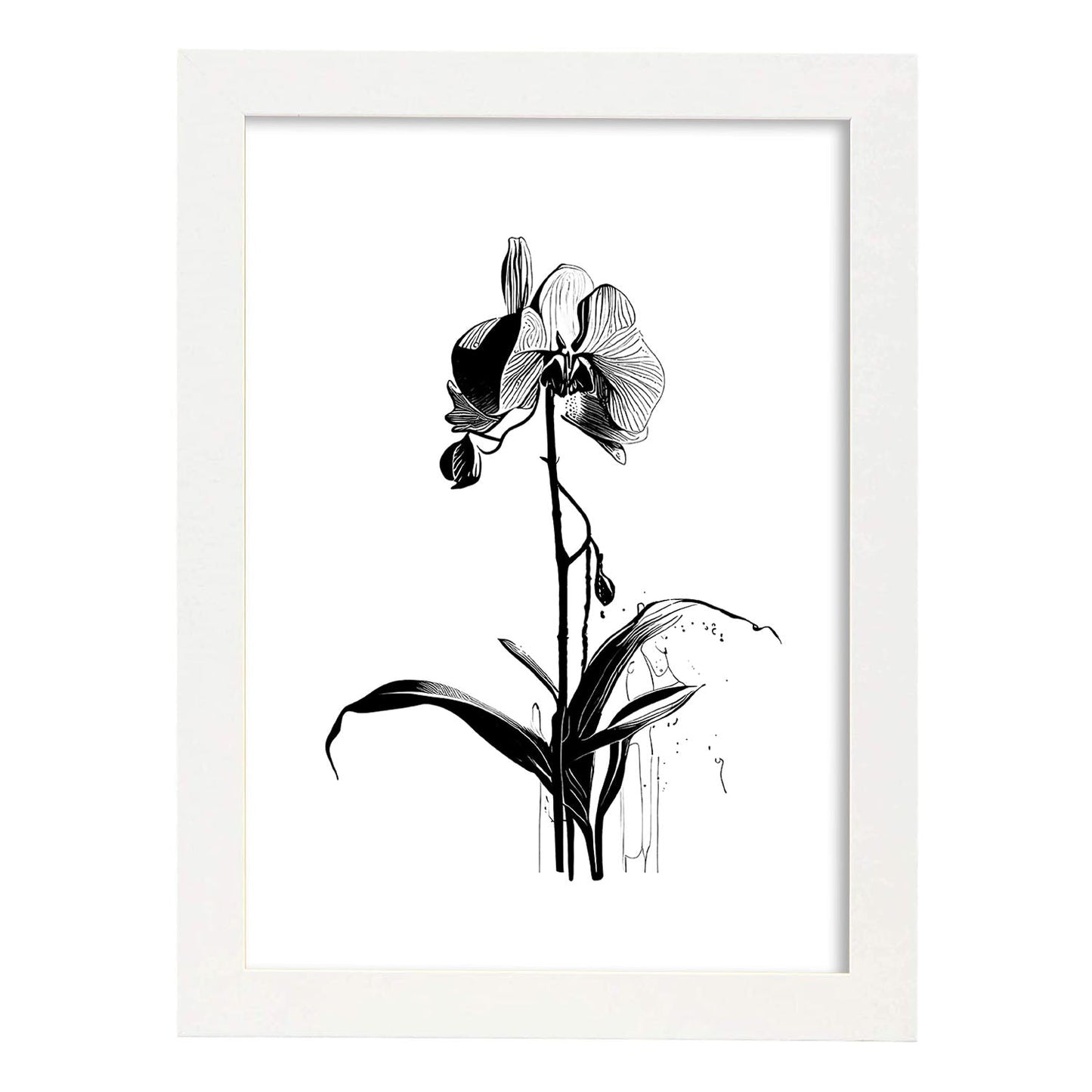 Laminas Minimalistas de Orquídeas Nacnic