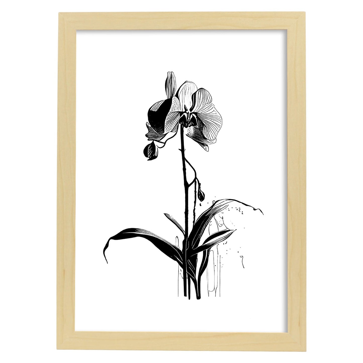 Laminas Minimalistas de Orquídeas Nacnic
